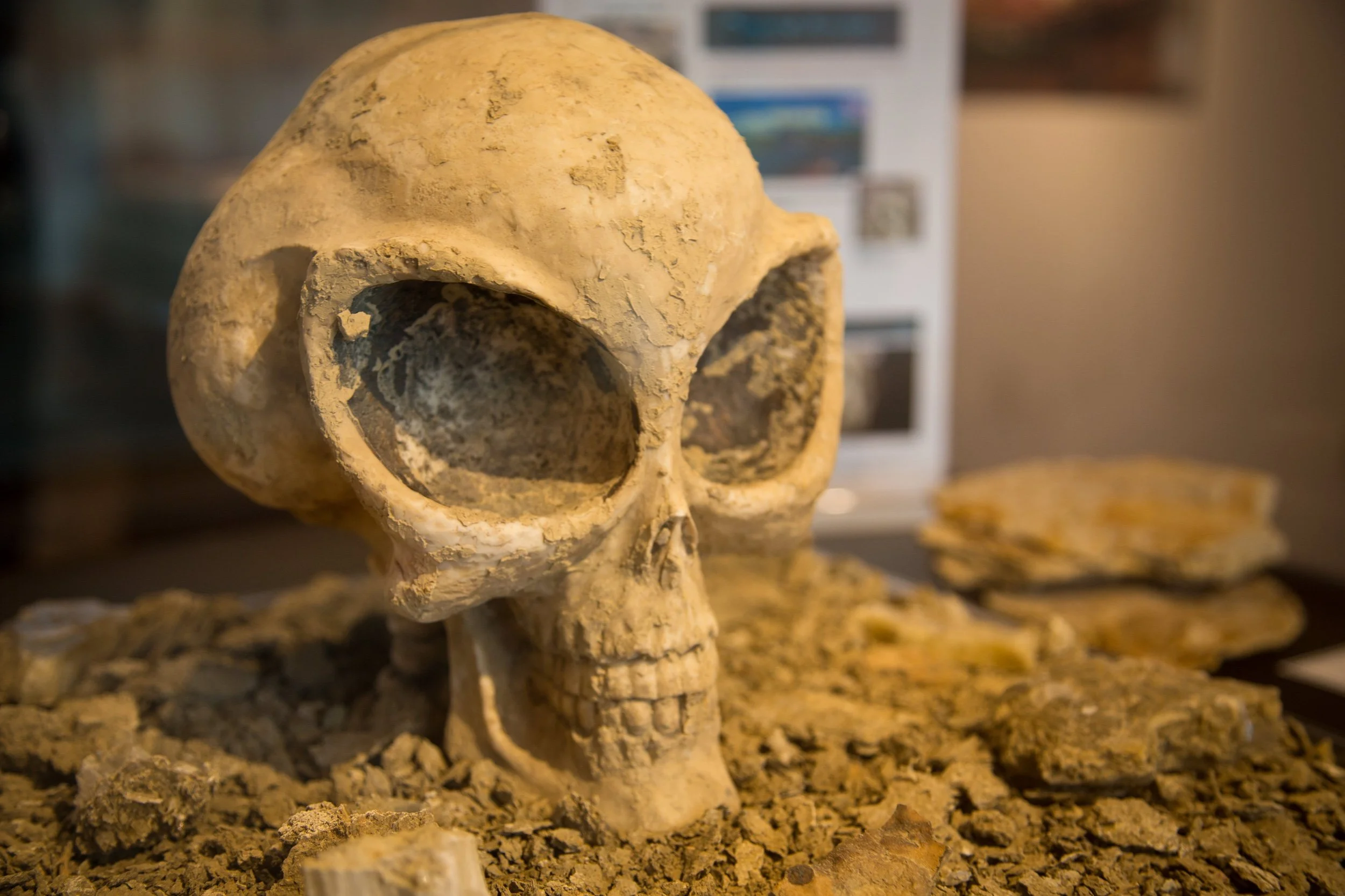 alien skull denver international airport conspiracy theories uncovered exhibition