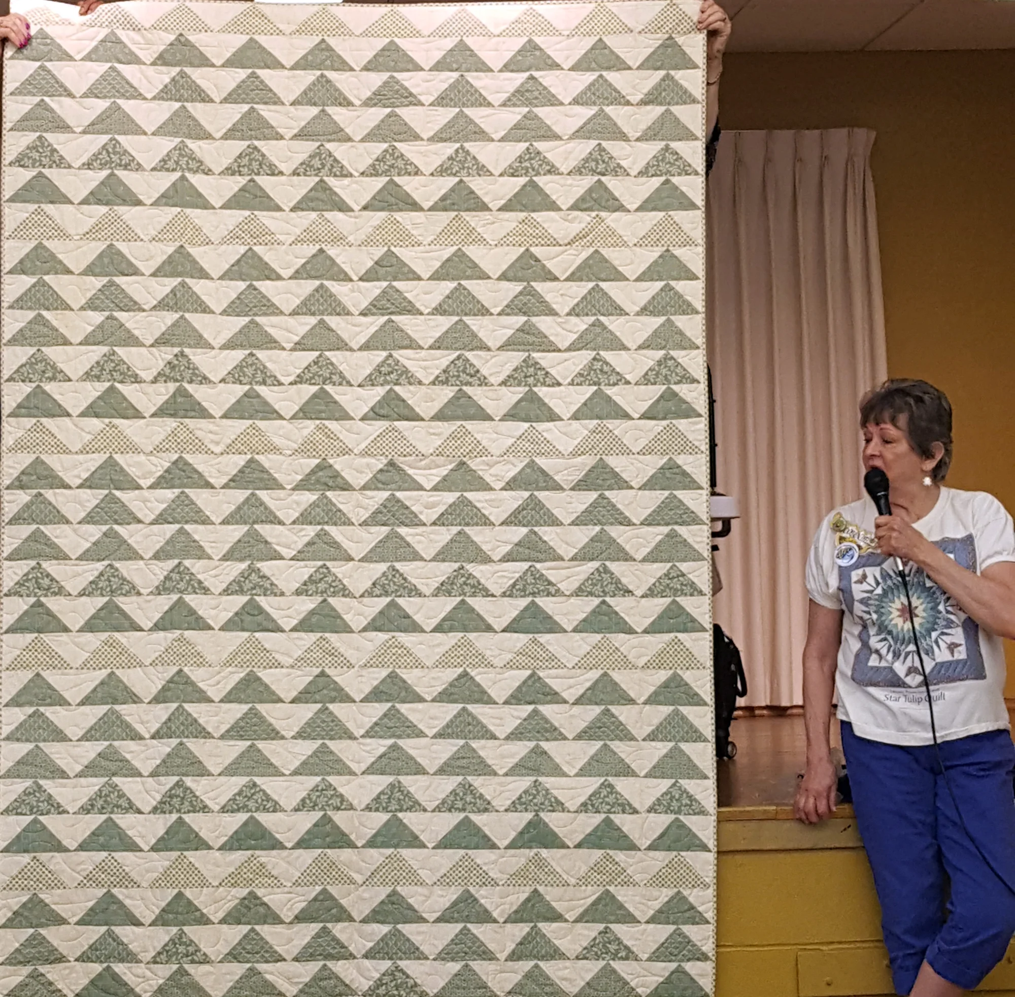 Connie Zwego - Flying Geese.jpg