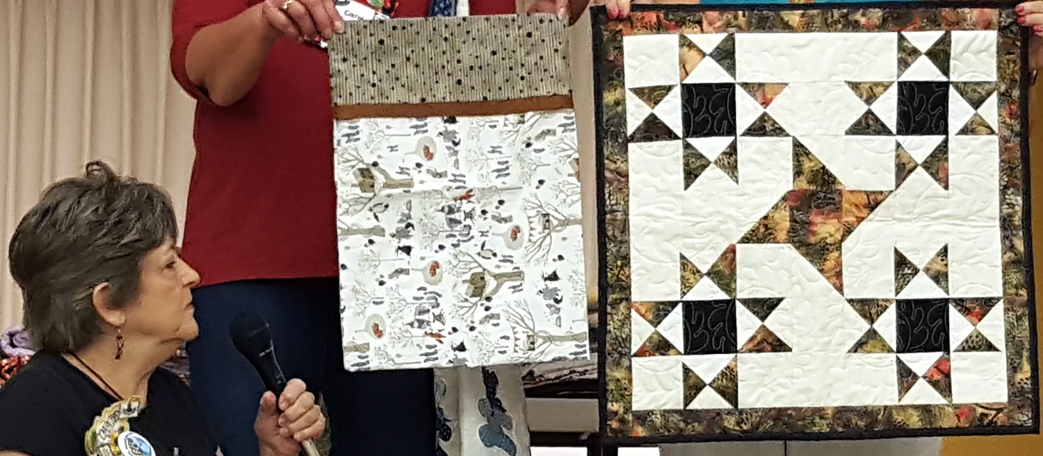 Connie small quilt and pillowcase.jpg