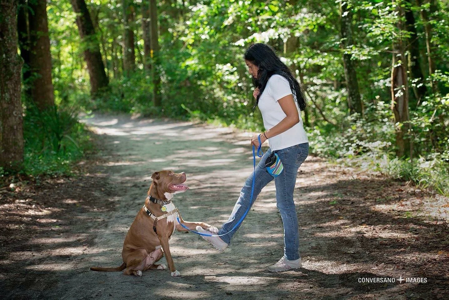 BABE #311: MENOKA DAMAREN - Founder + Trainer, MDMT Dog Training