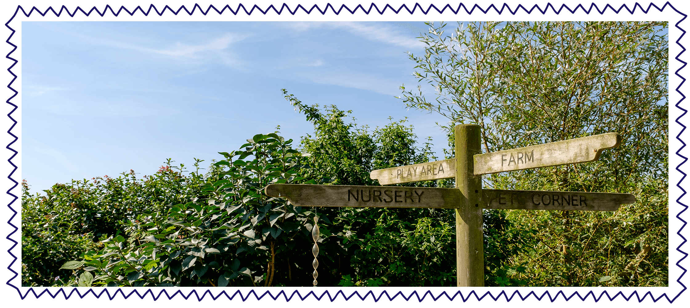 Springfield Nursery-025.png