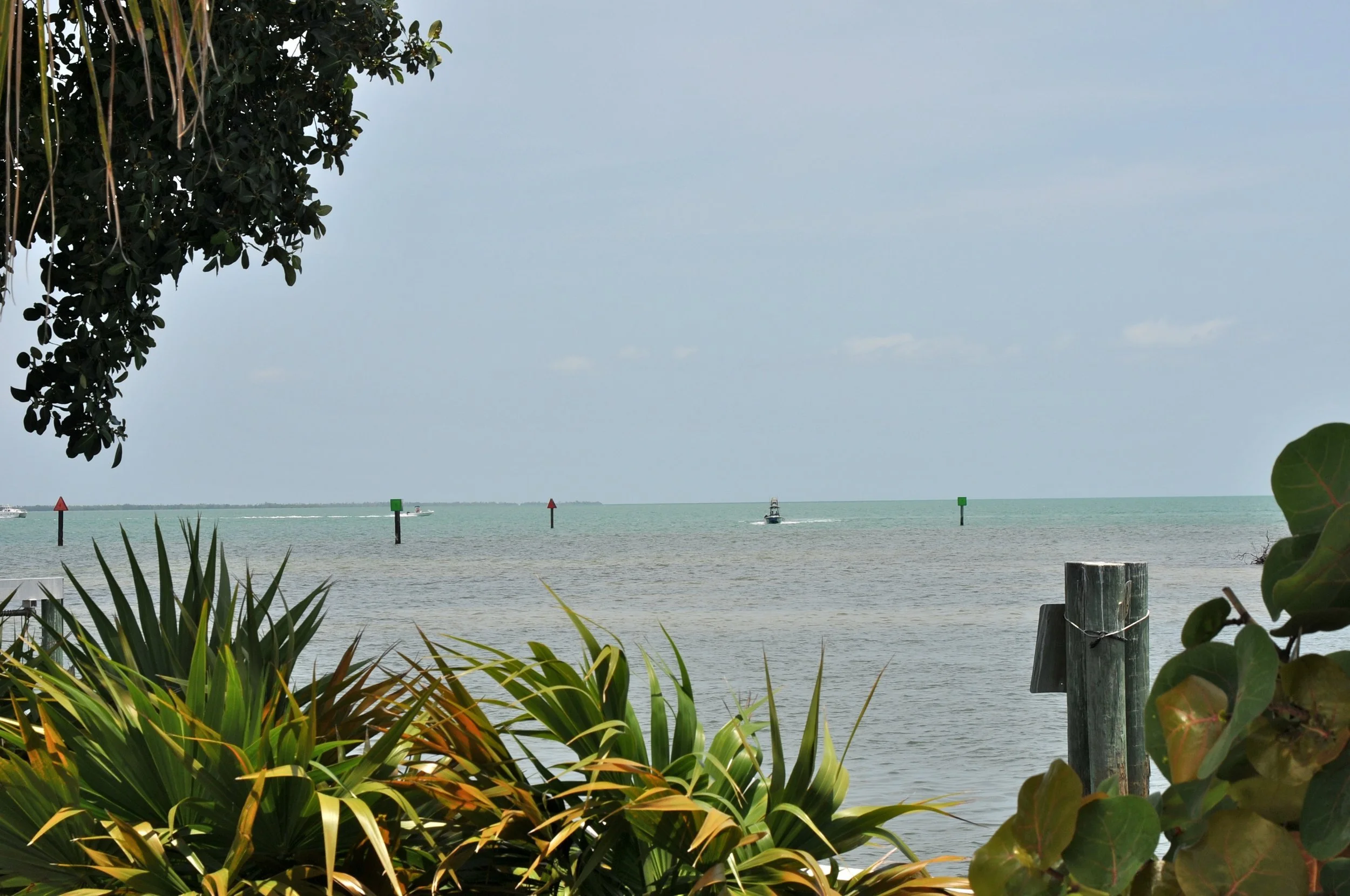 greenery-framed view of boats in channel.jpg