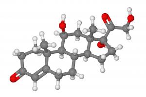 cortisol molecular model.jpg