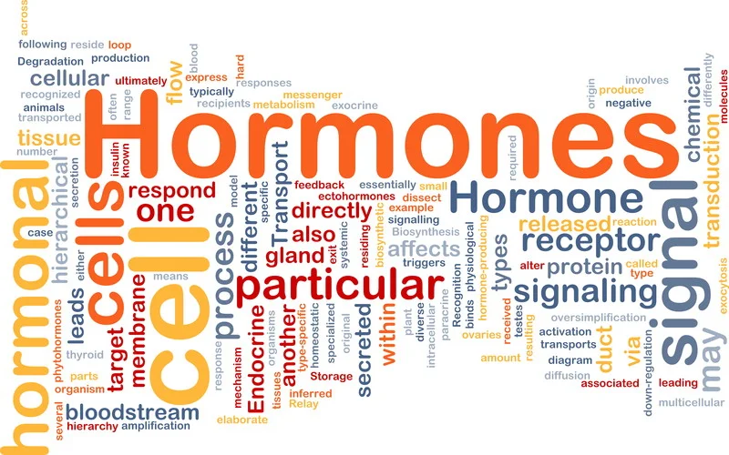 hormone-replacement.jpg