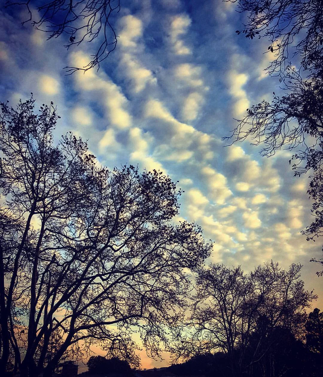 shel's skies #1.jpg