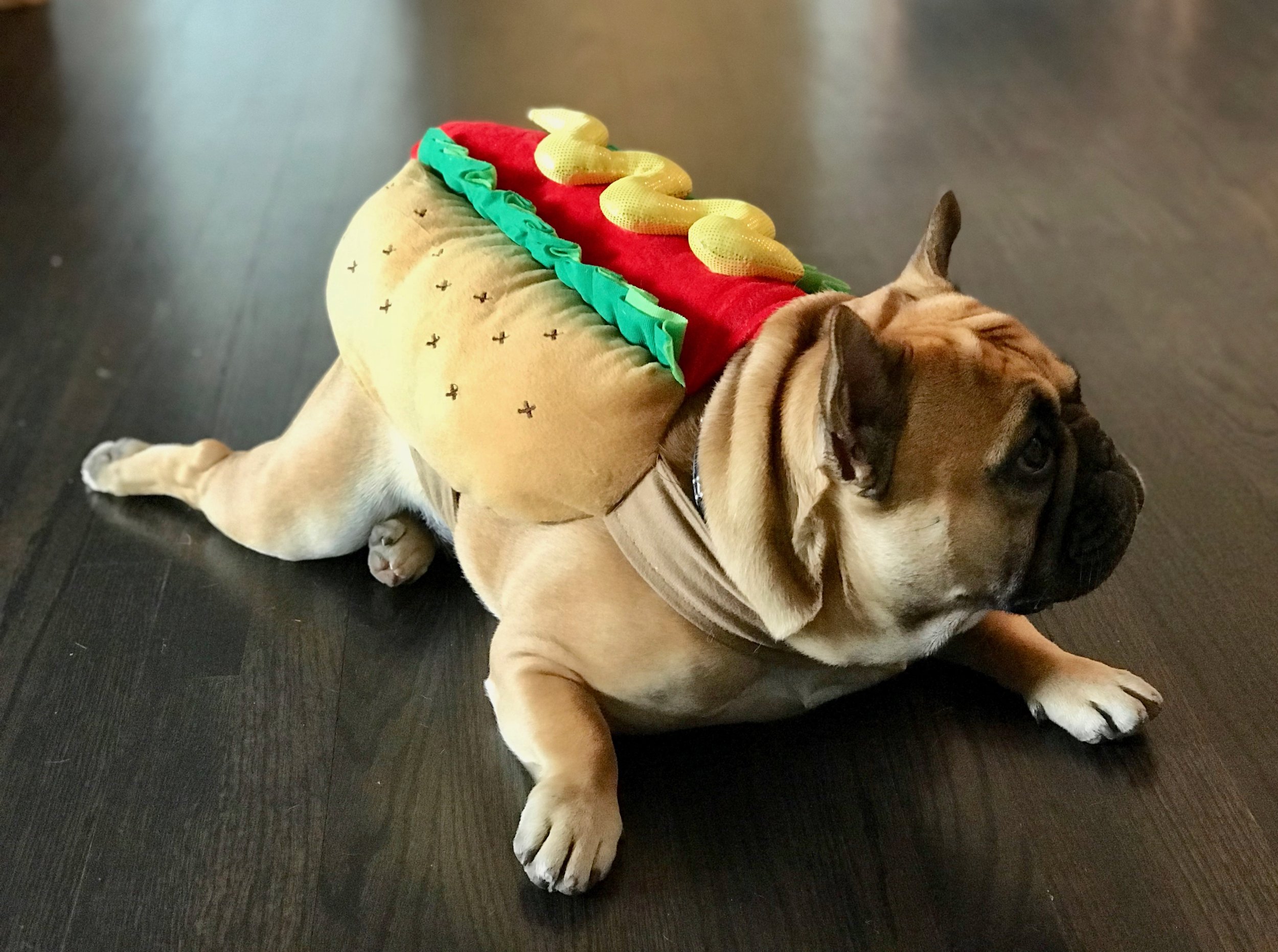 halloween hotdog profile.jpeg