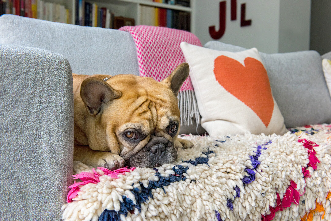 LR-hank-close-up-sofa.jpg