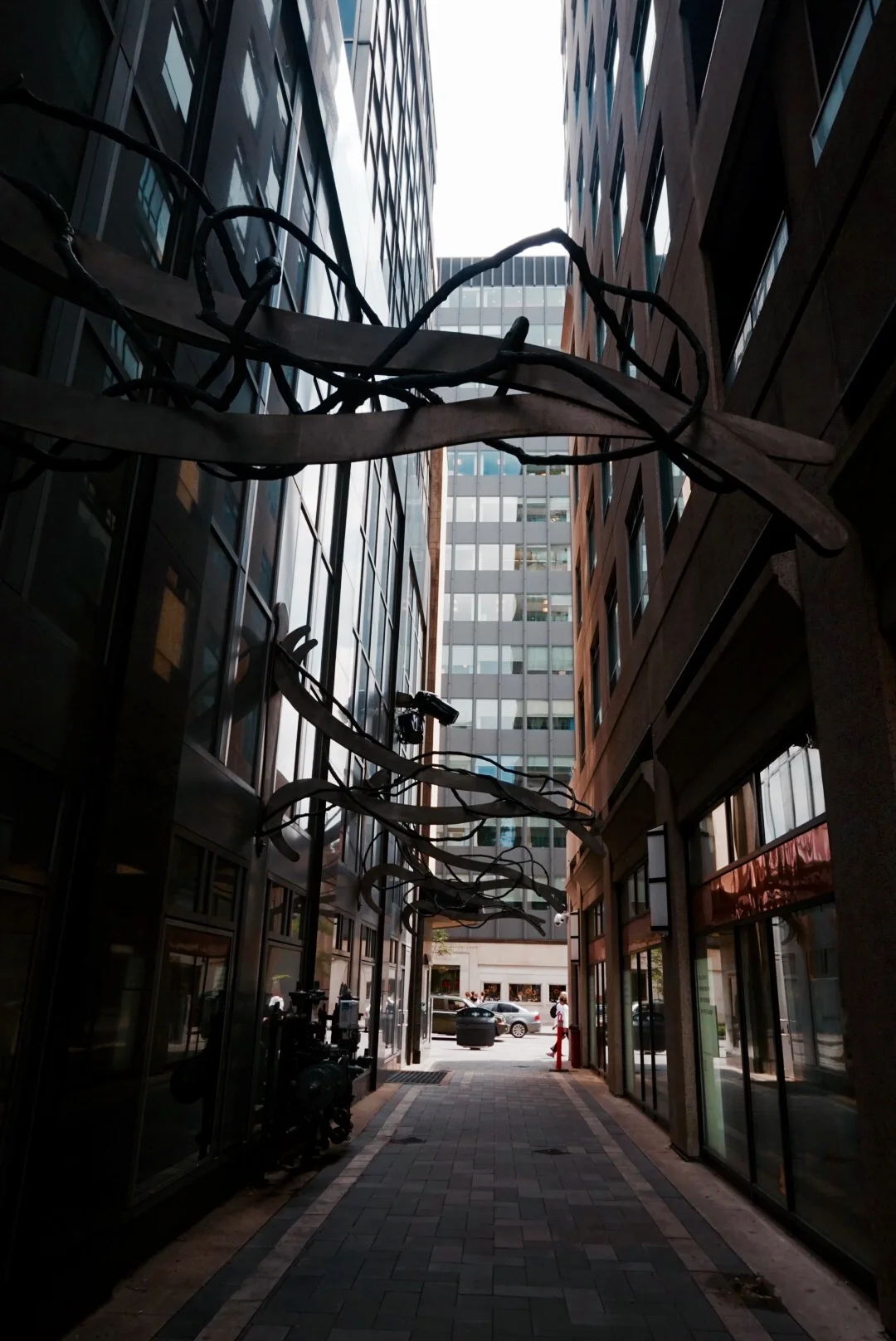 FullSizeRender 35.jpg