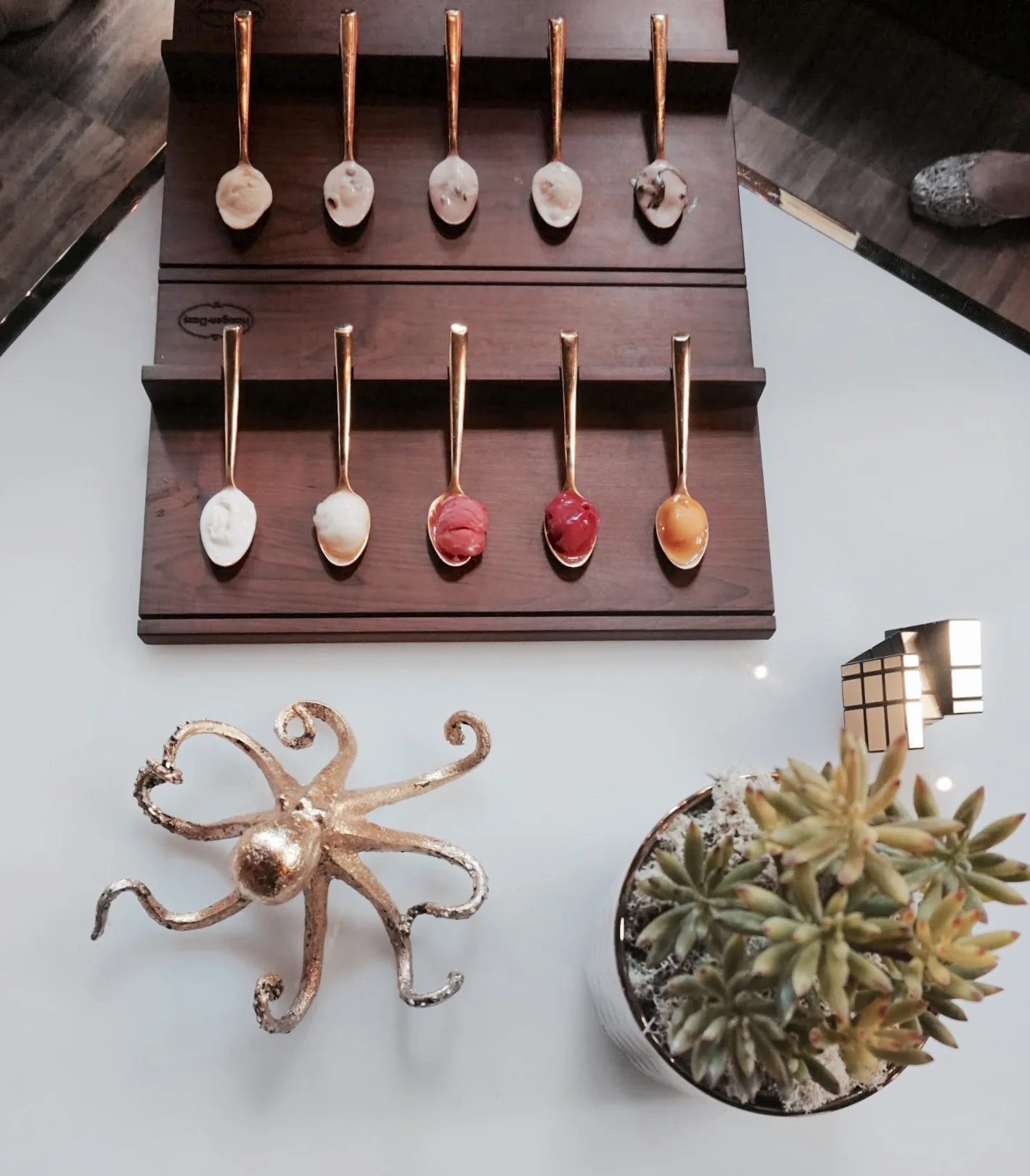 FIND YOUR PASSION AT THE BÄR HÄÄGEN-DAZS