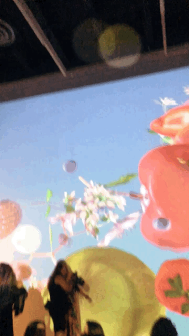 IMG_7934.GIF
