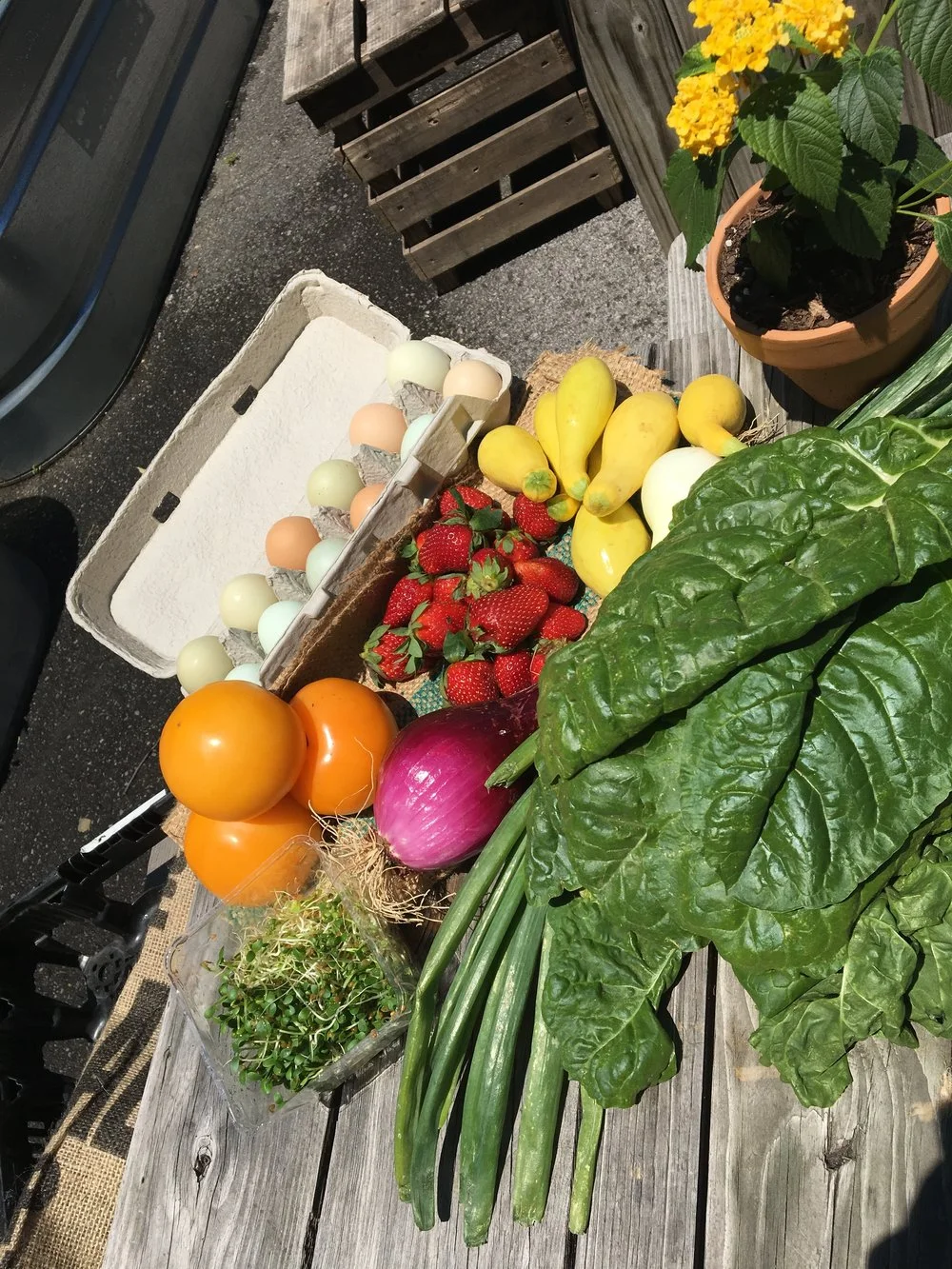 File_005+(20) (1).jpeg