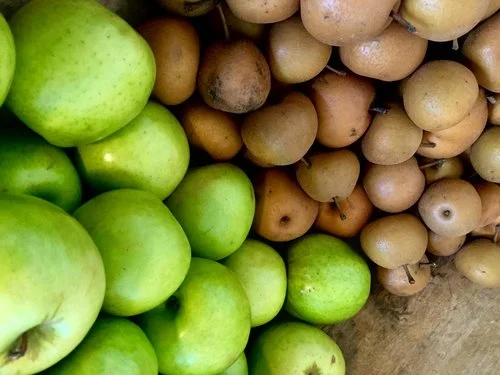 Motsu Apples & Pears - Stone Hollow Farmstead CSA