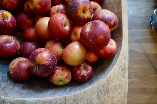 Arkansas Black Apples - Stone Hollow Farmstead CSA