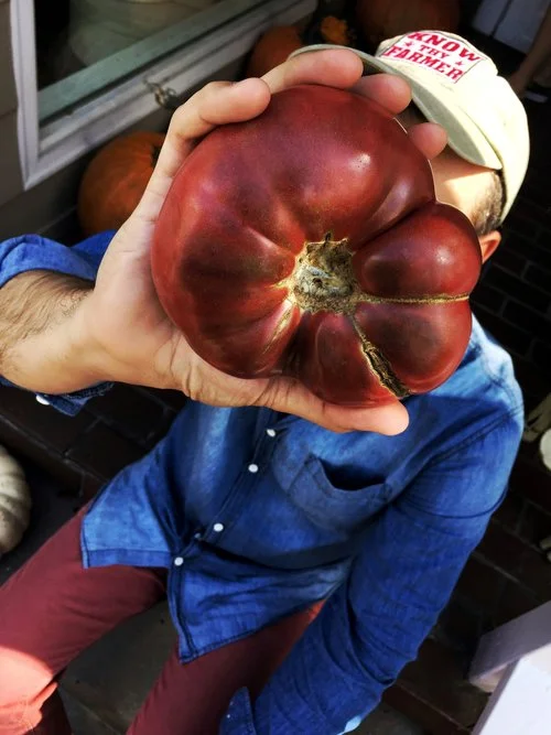 Heirloom Tomatoes / Stone Hollow Farmstead CSA