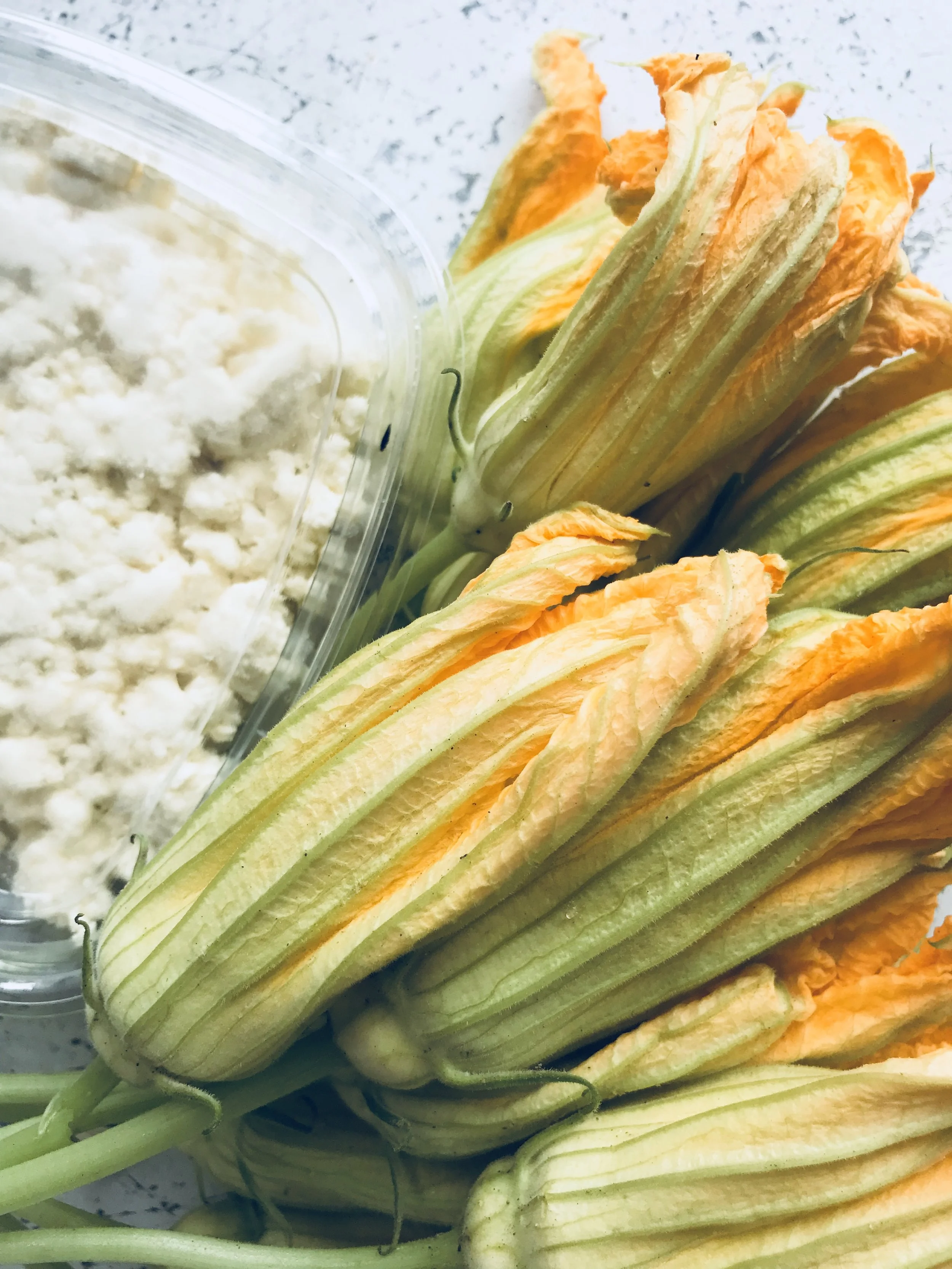 Squash Blossoms & Queso Fresco / Stone Hollow Farmstead