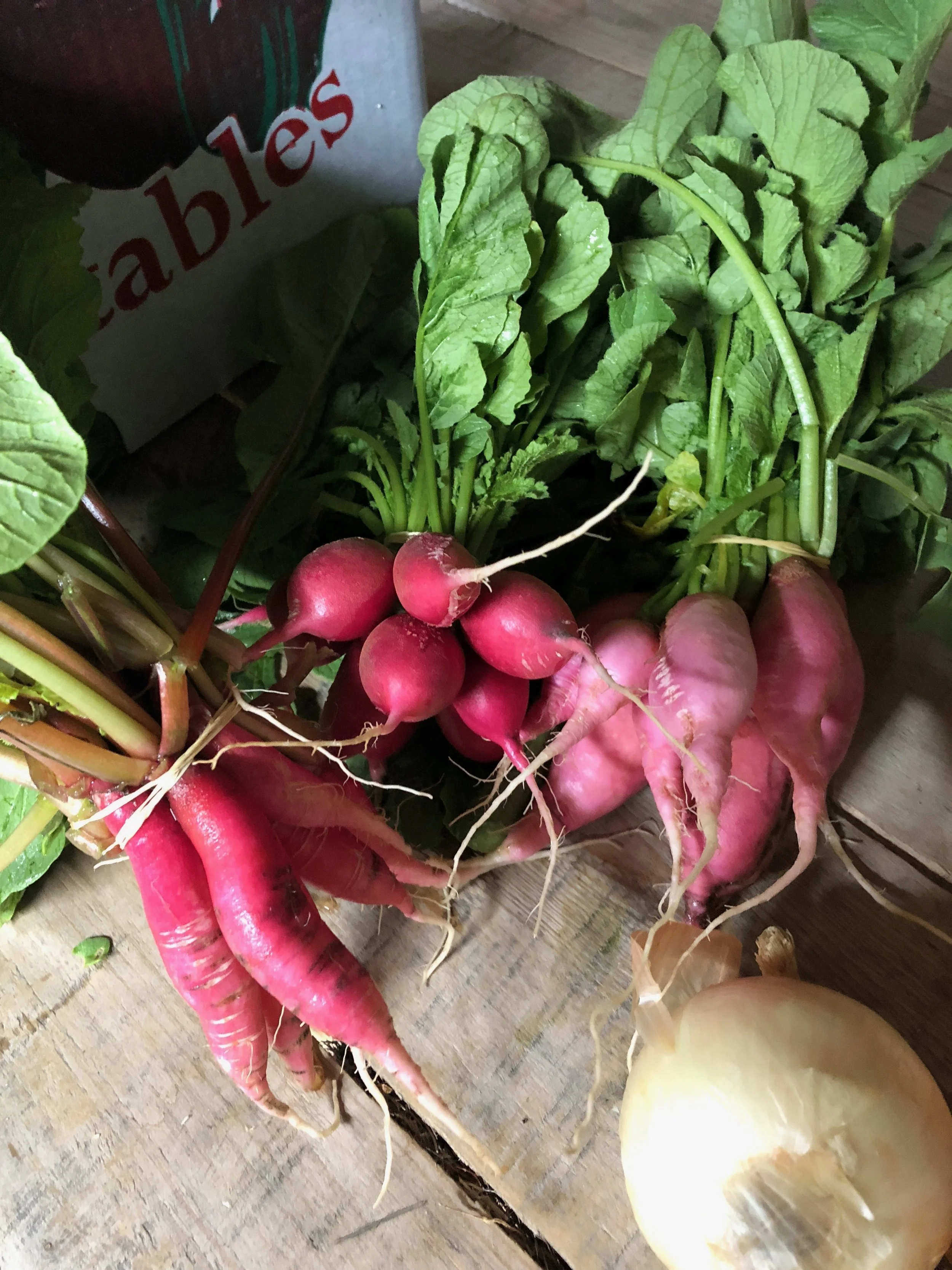 Radishes / Belle Meadow