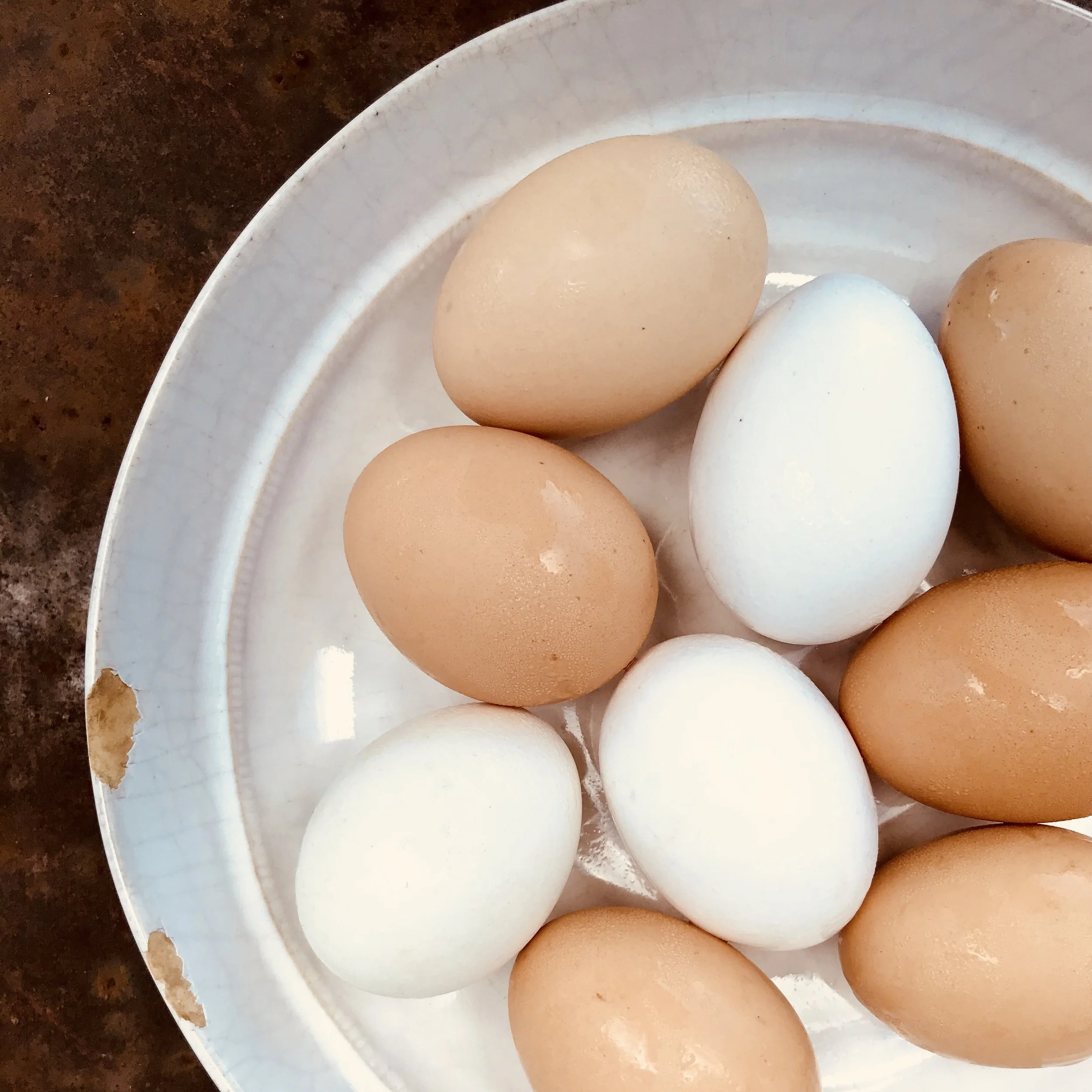 Eggs / Stone Hollow Farmstead