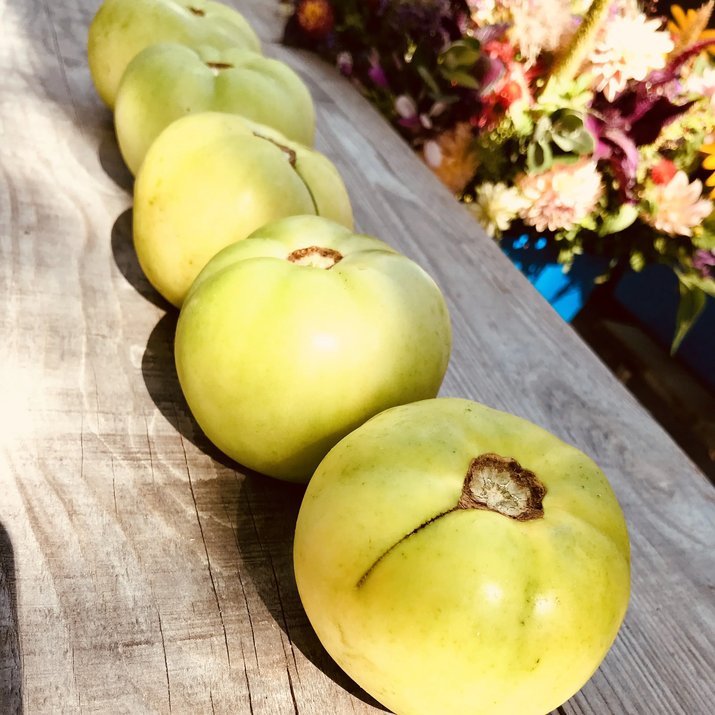 Green Tomatoes / Chandler Mountain