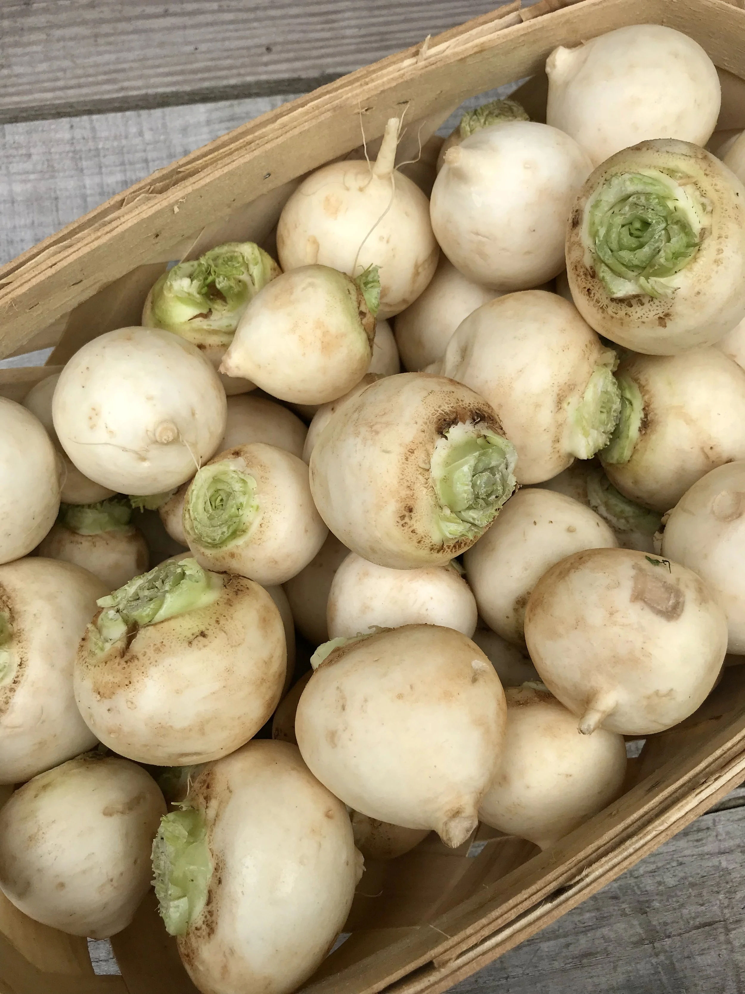 Hakurei Turnips / Belle Meadow Farm