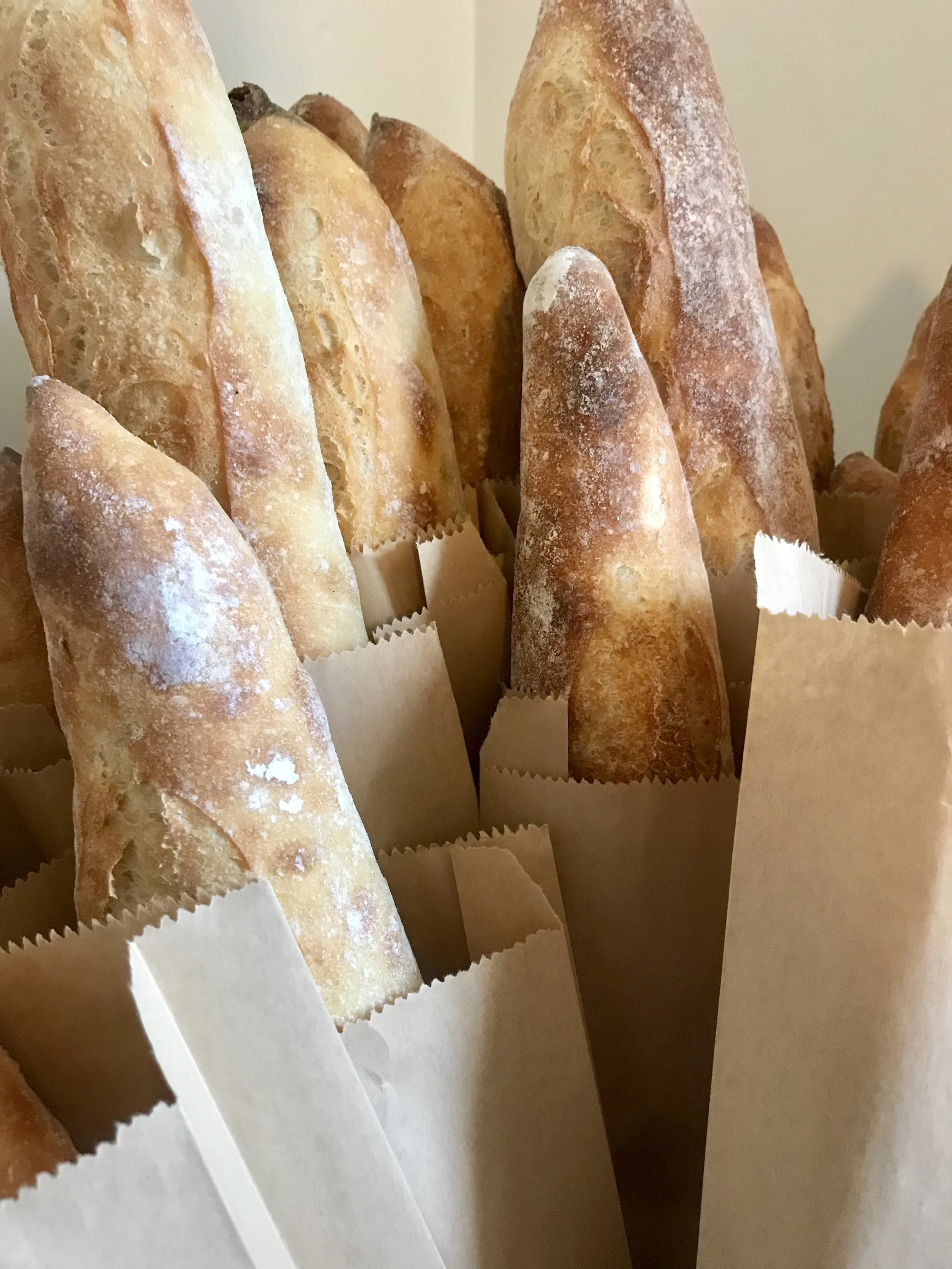 Baguette / Hinkel’s Bakery