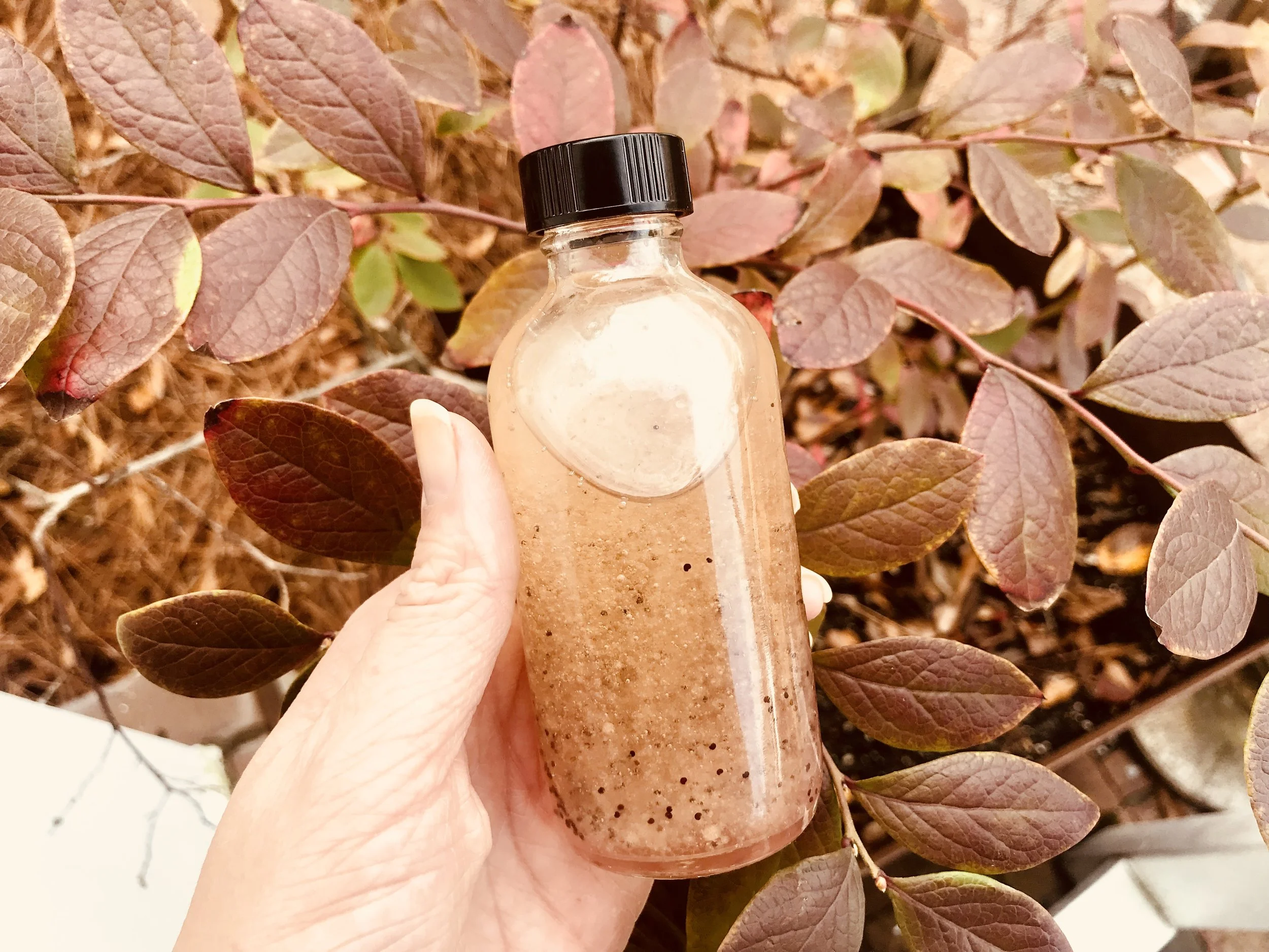 Poppyseed Dressing / Stone Hollow Farmstead