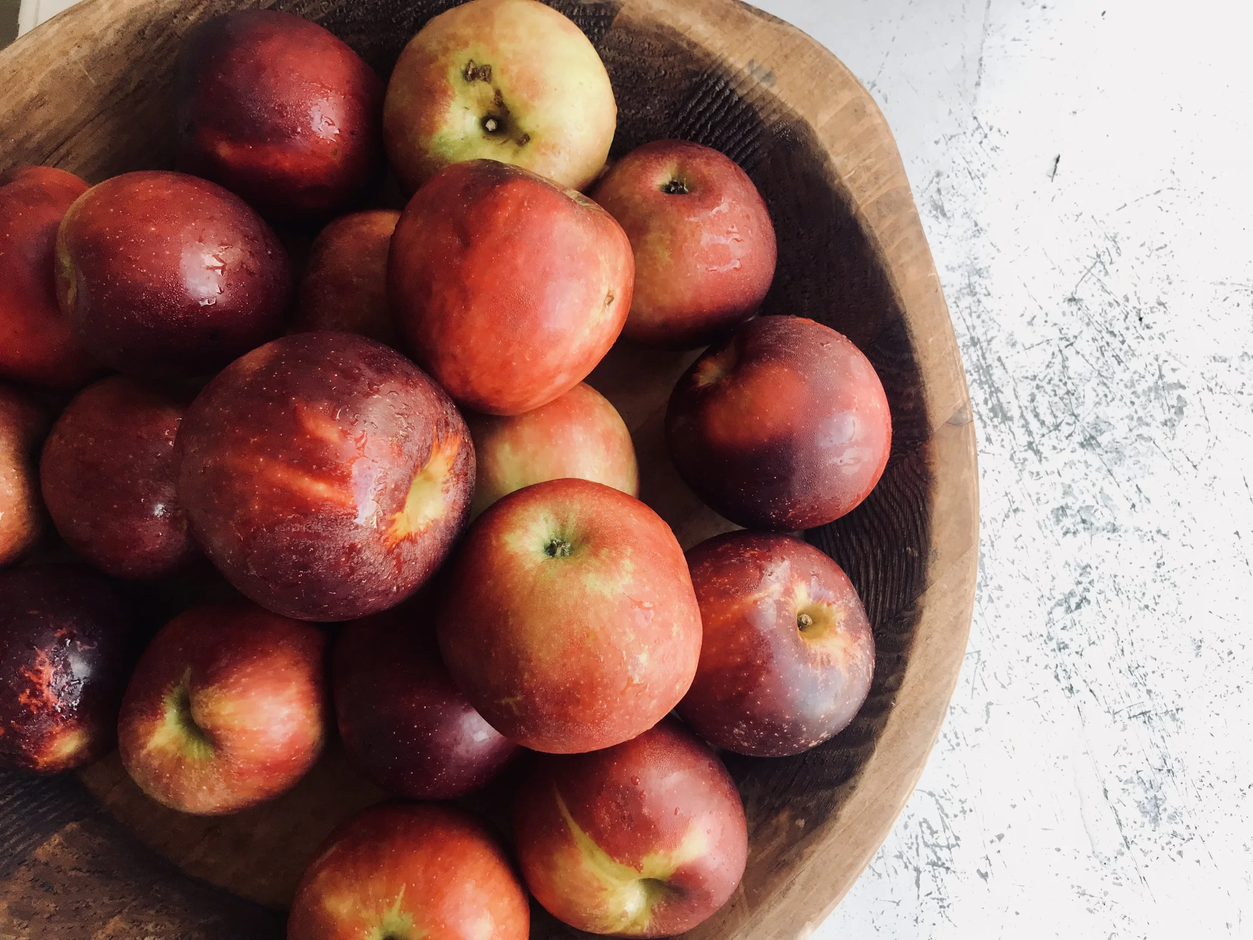 Winesap Apples / Scott’s Orchard