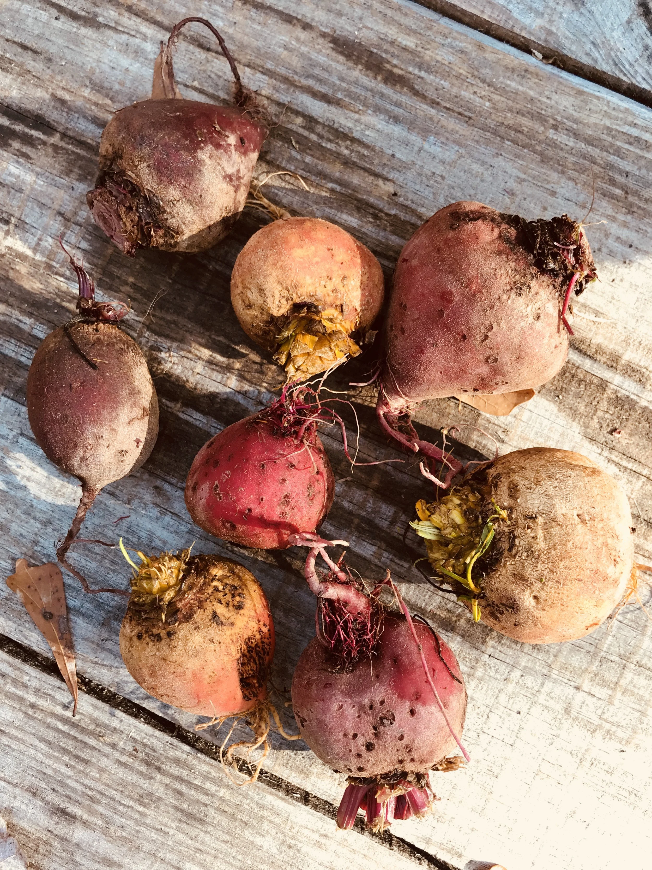 Beets / Belle Meadows