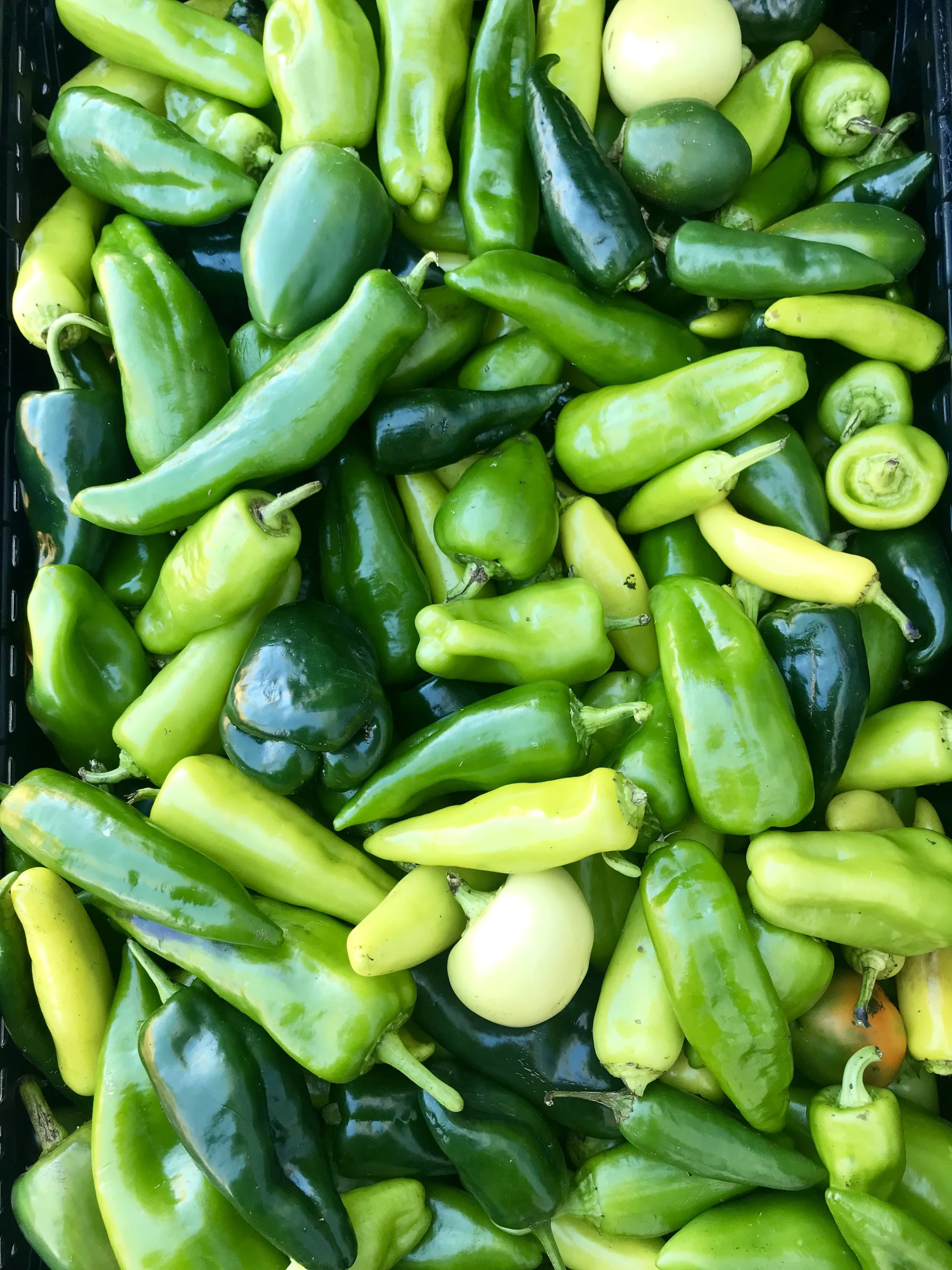 Mixed Peppers / Stone Hollow Farmstead