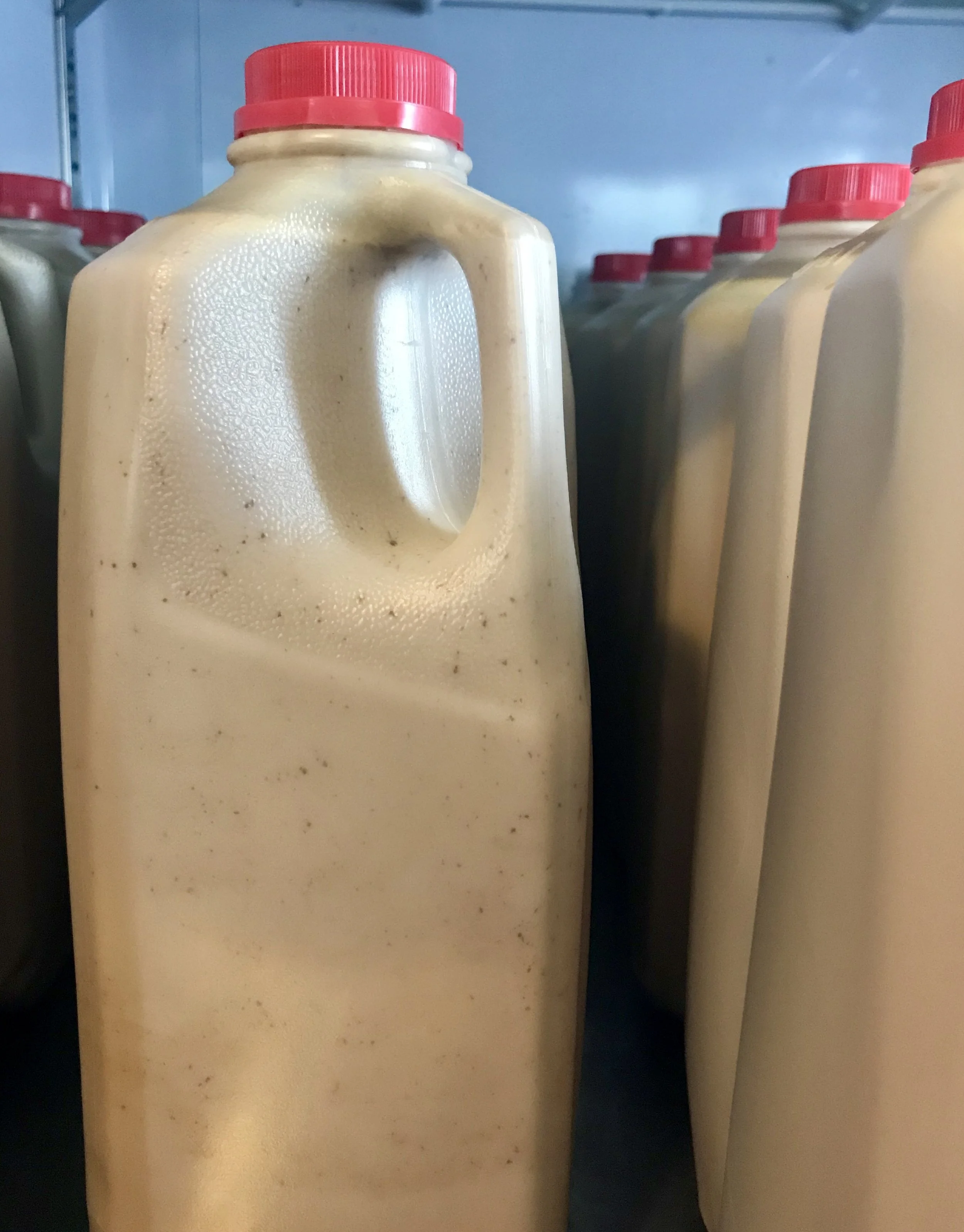 Jersey Cow Whole Chocolate Milk / Stone Hollow Farmstead