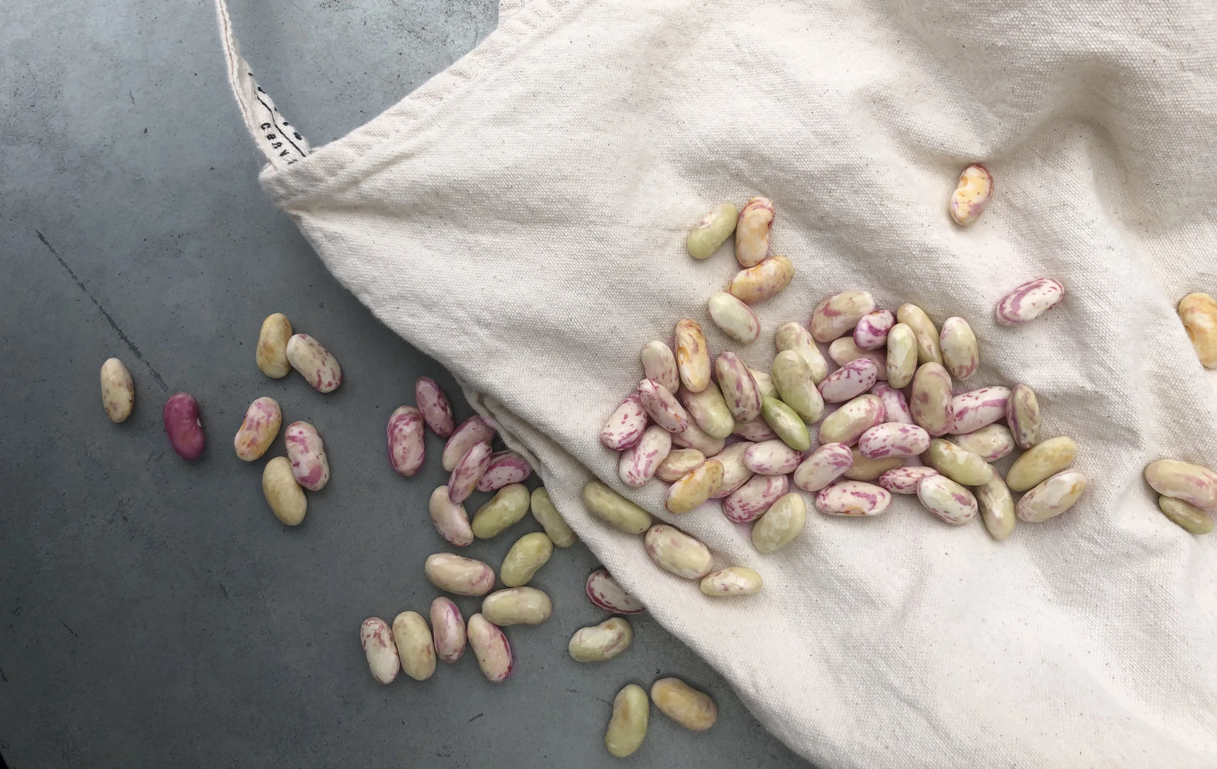 Pinto Beans / Chilton County