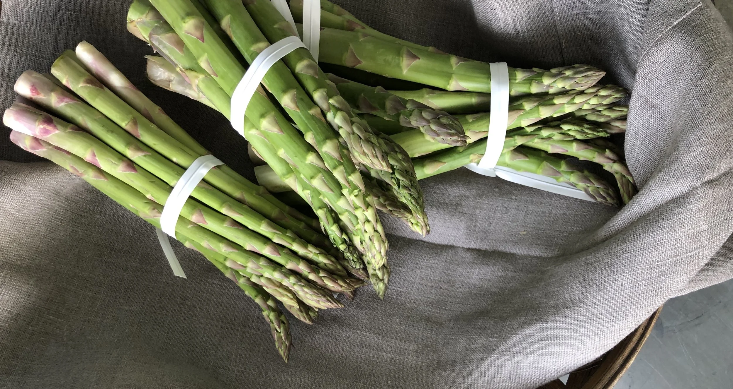 Asparagus / Habersham Farms- Mentone, Alabama