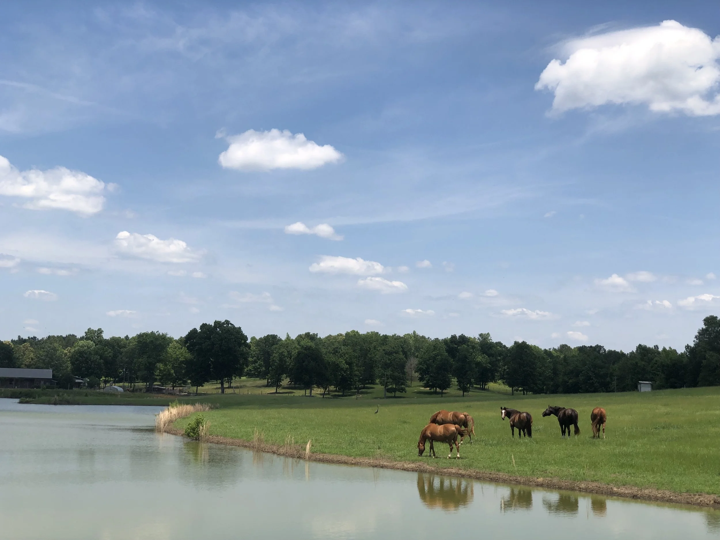 A Day at Stone Hollow