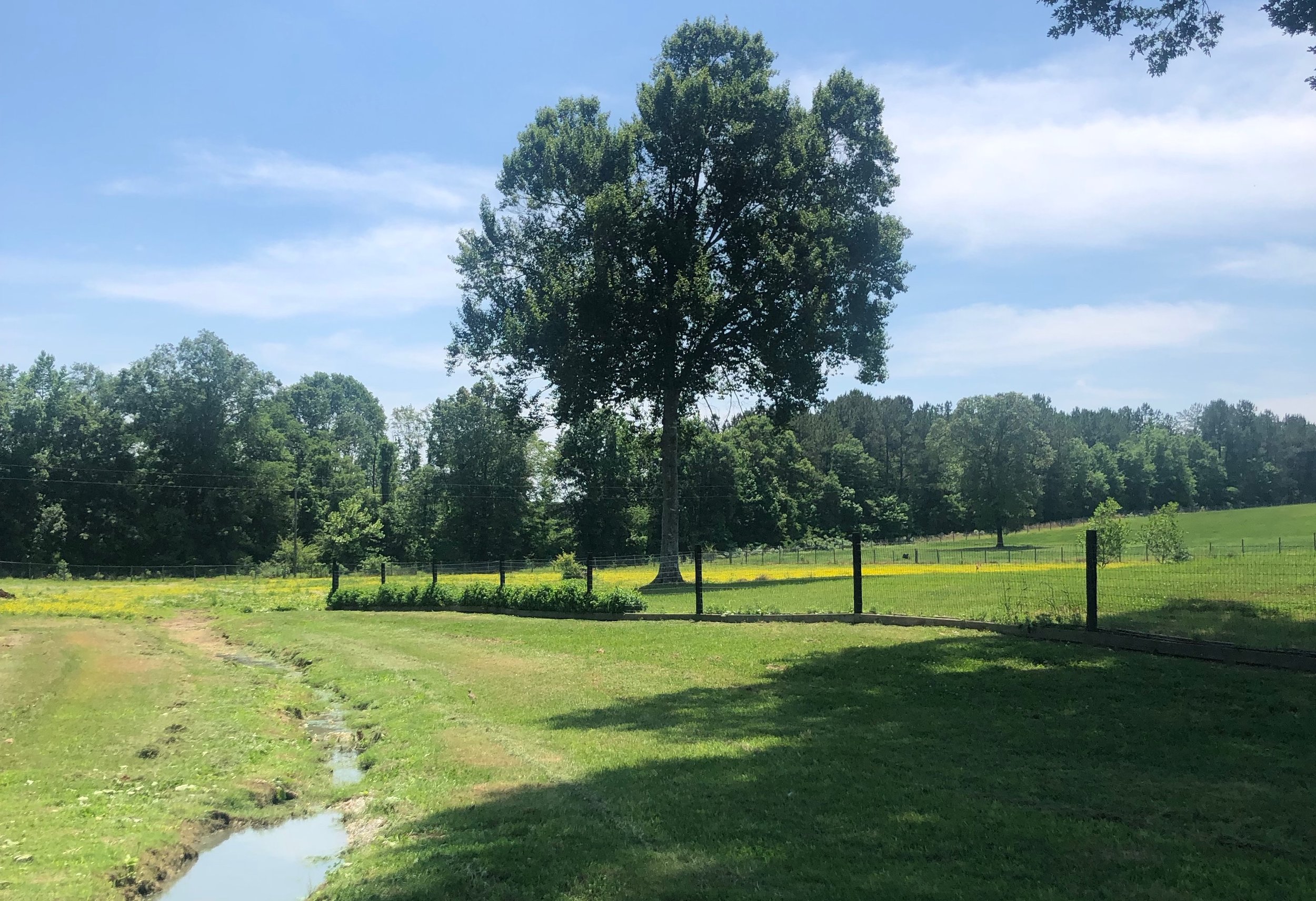 A Day at Stone Hollow