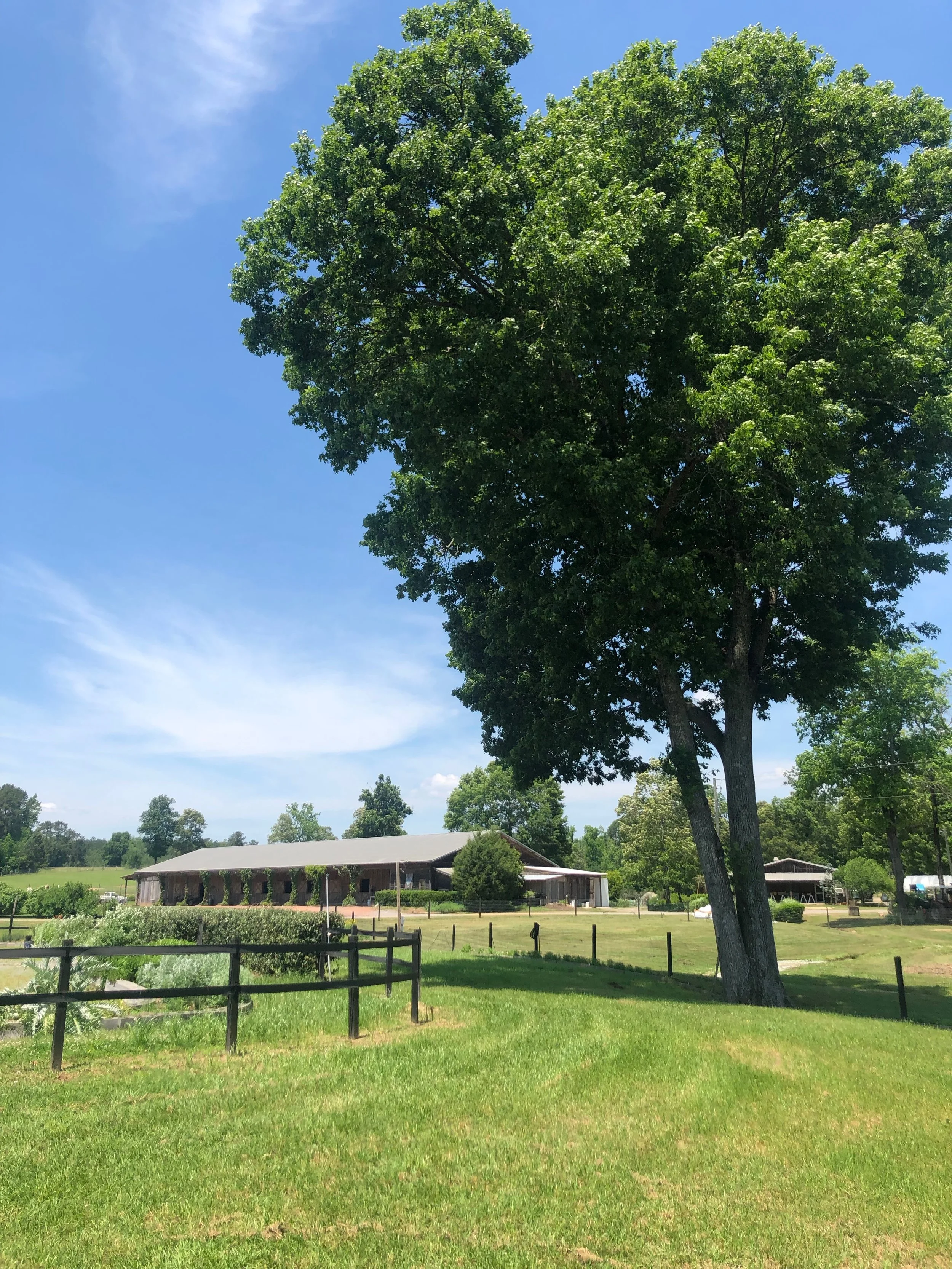 Stone Hollow FarmStead