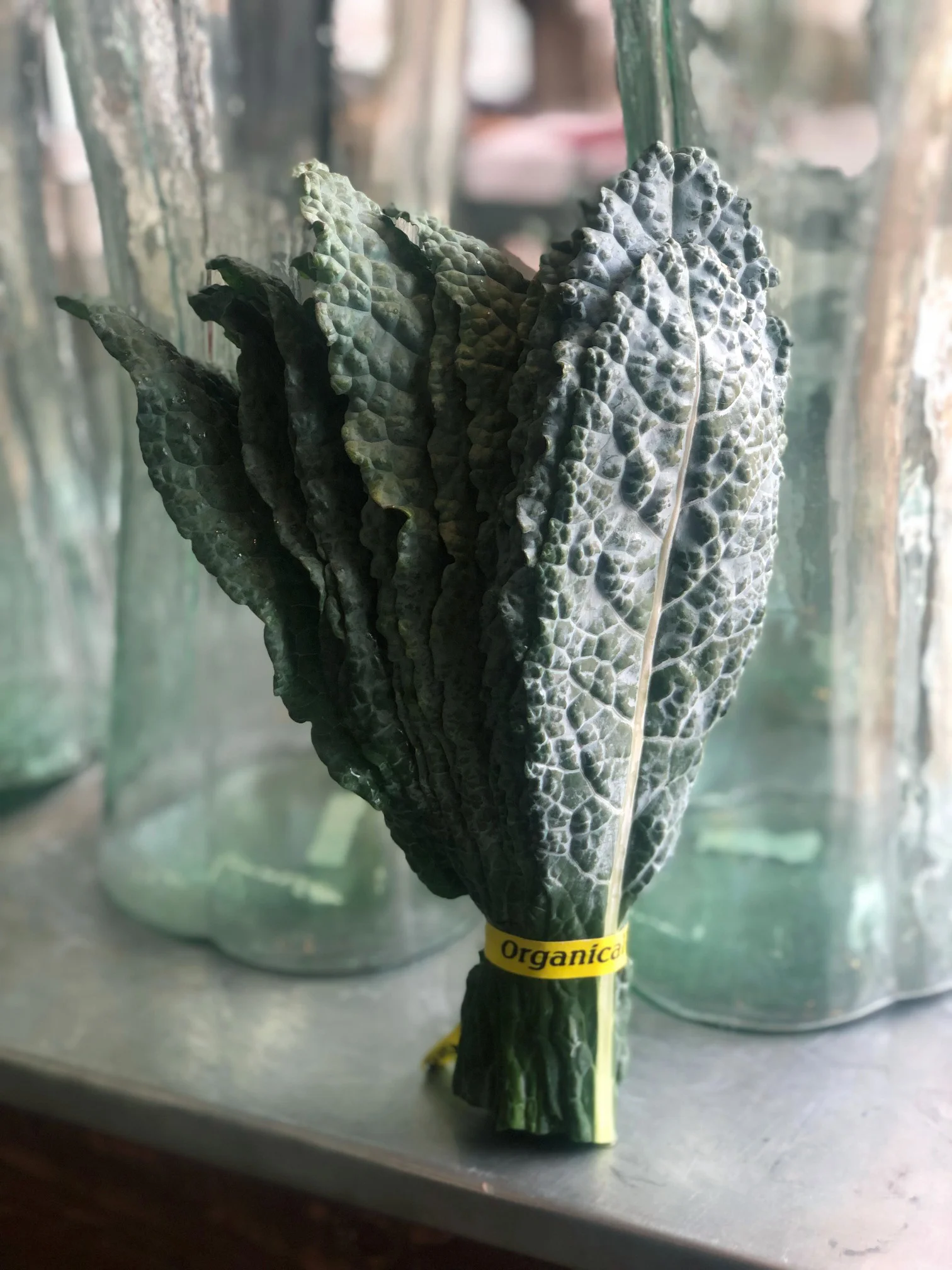 Kale / Mountain Sun Farm