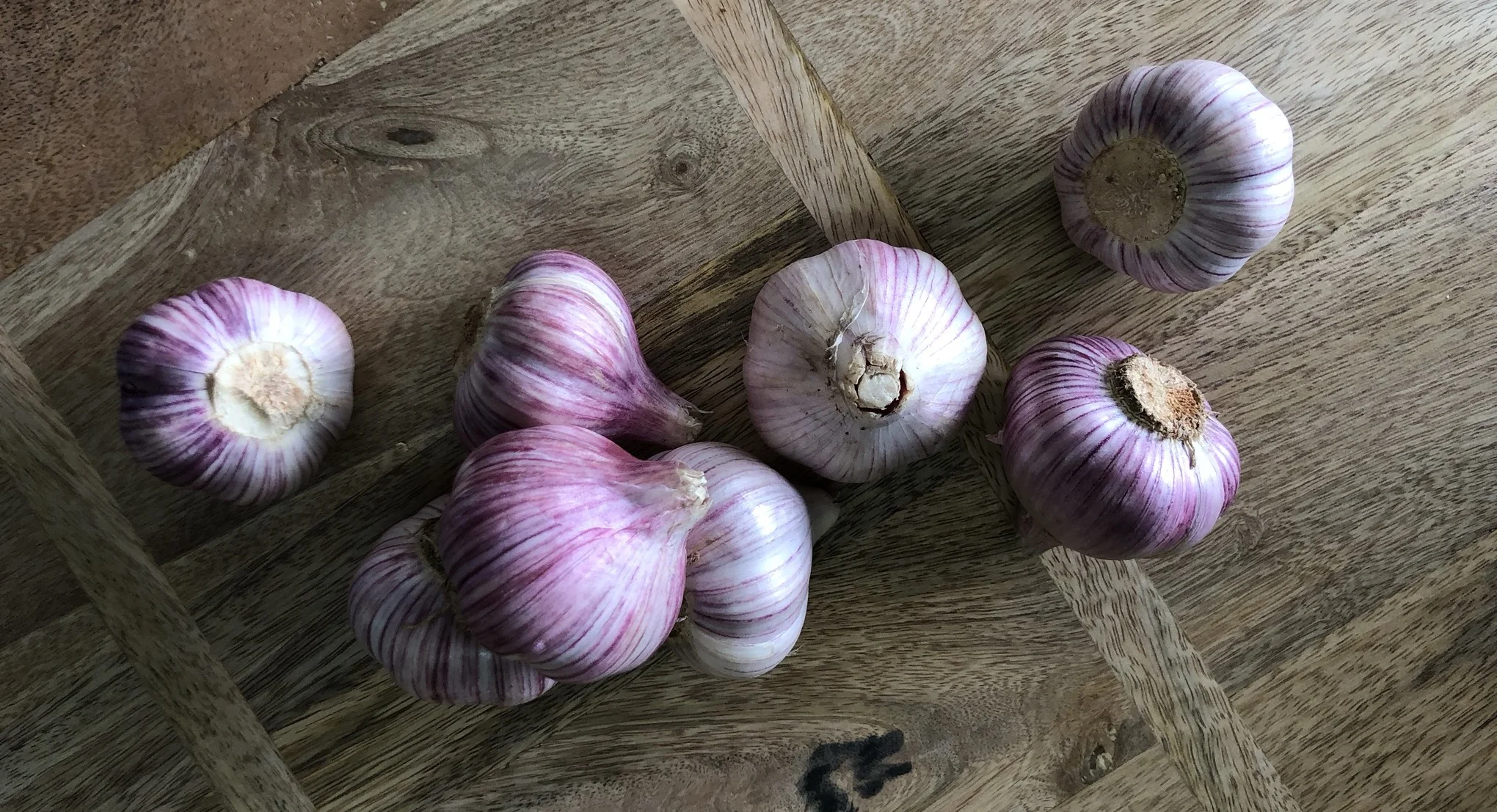 German Red Garlic - Stone Hollow FarmStead - Harpersville, Alabama