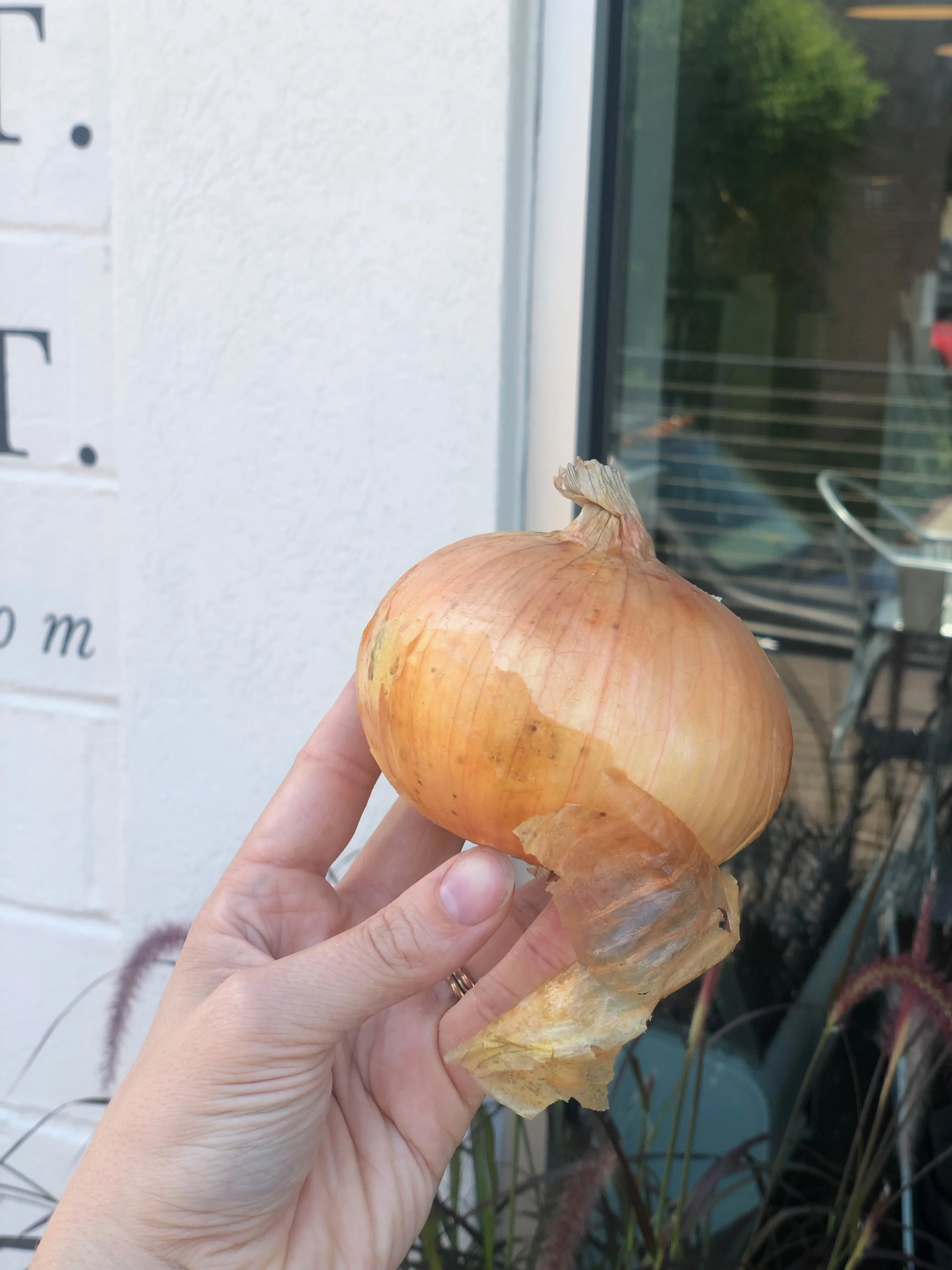 Vidalia Onions- Georgia