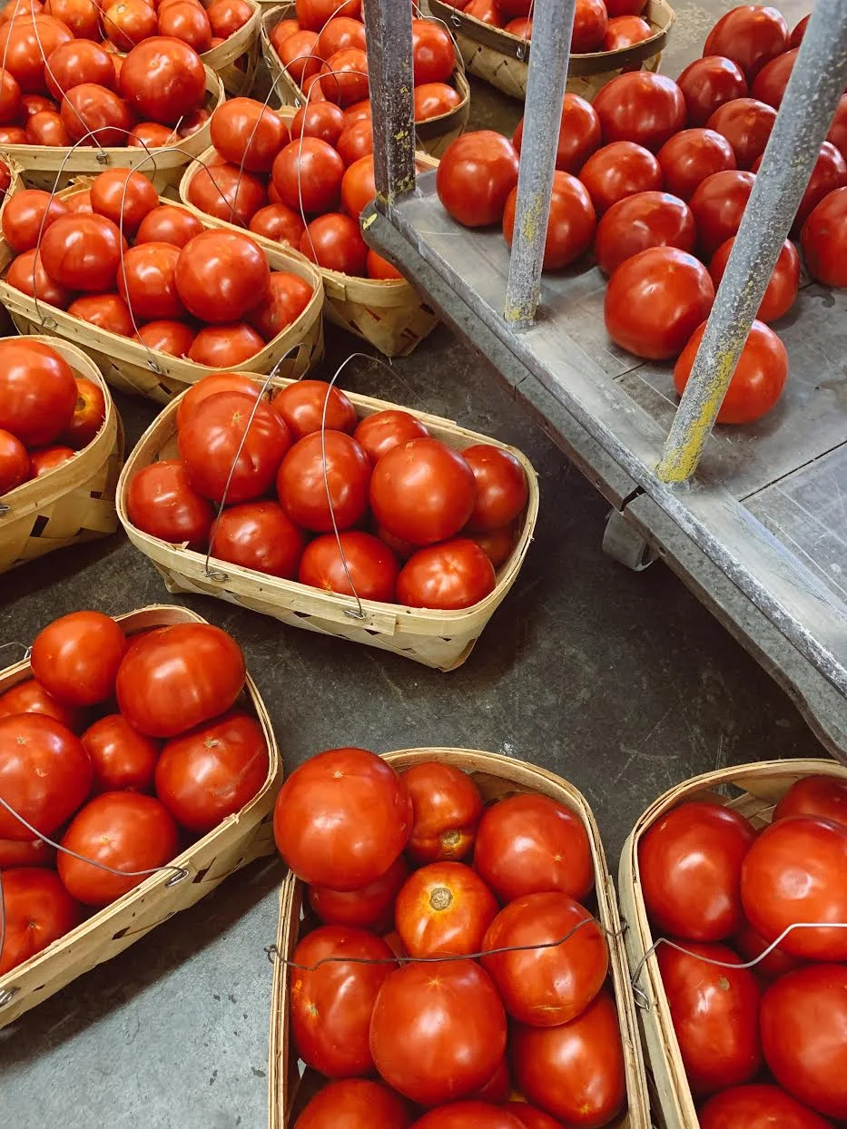 Heirloom Tomatoes / Habersham Farms