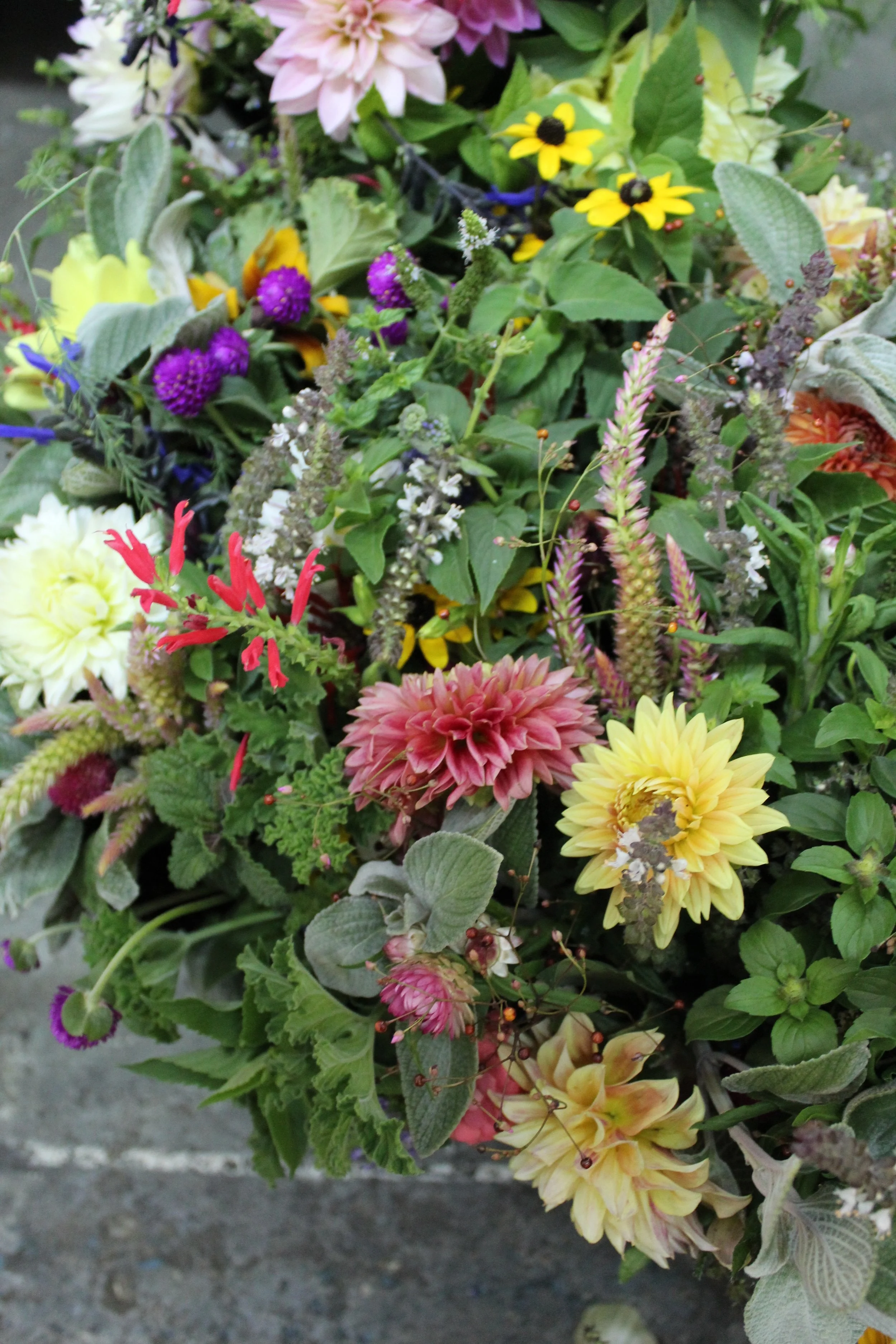 Flower Share / Stone Hollow Farmstead