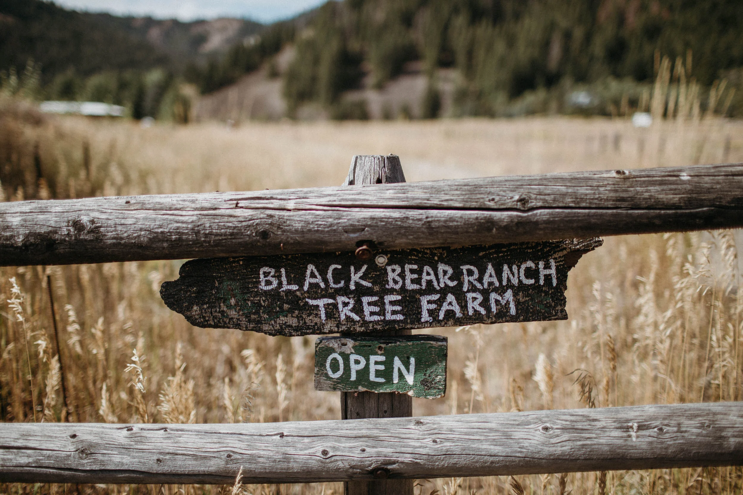 c_m_Black_bear_ranch_sunvalleywedding-1.jpg