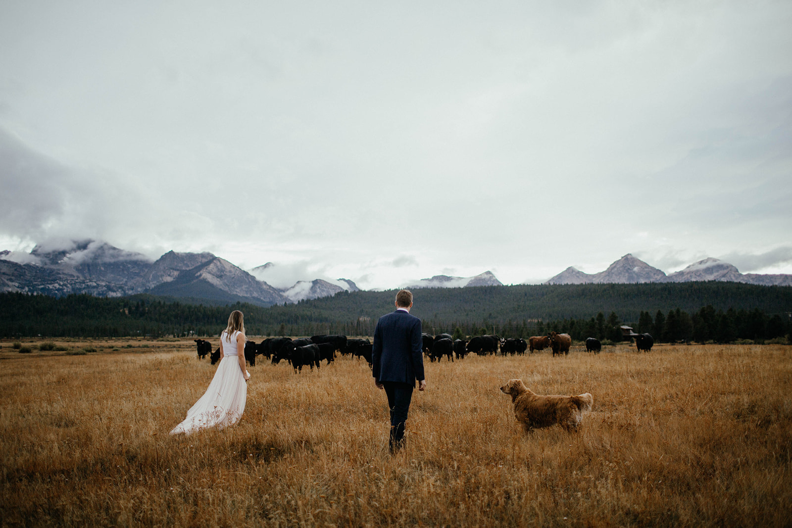 o_A_stanleyengagementphotos.jpg