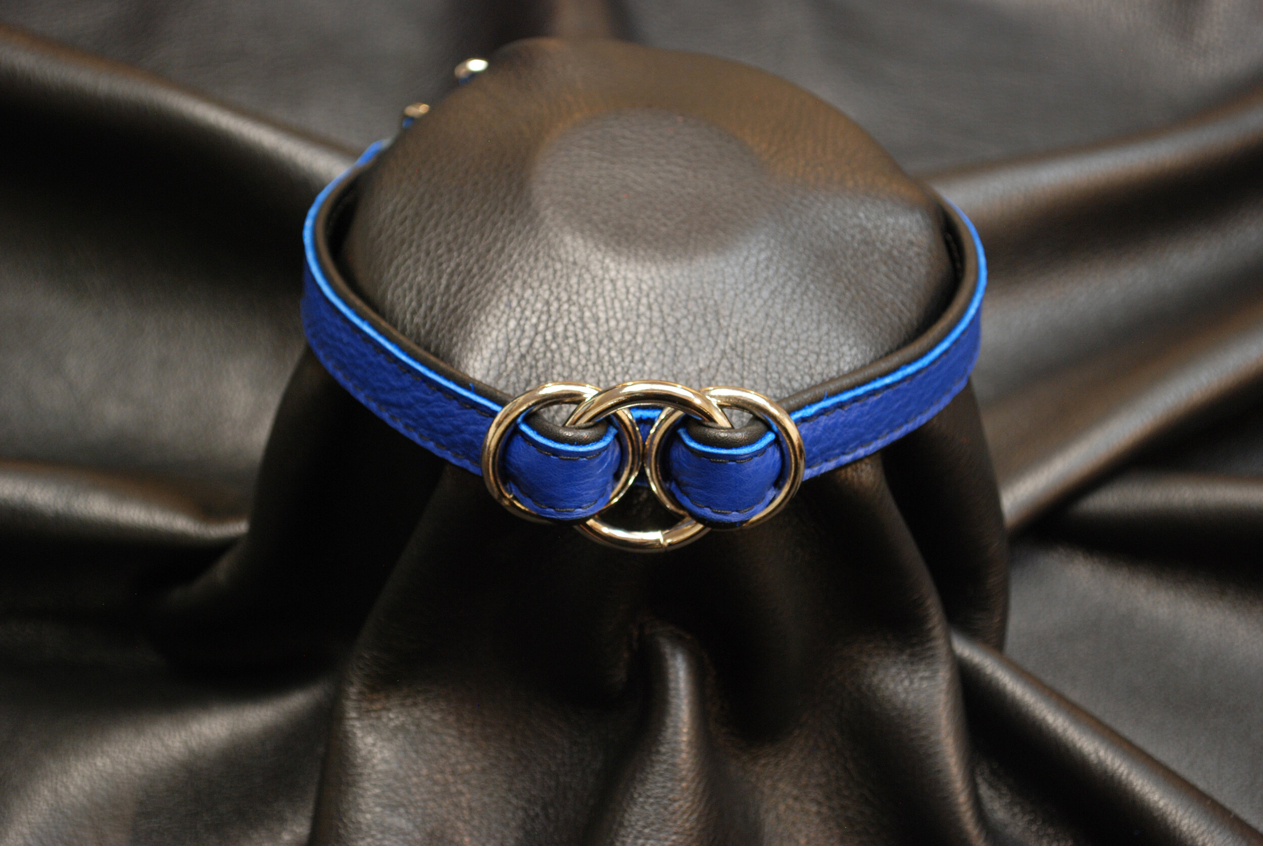 Blue 3 Ring.JPG