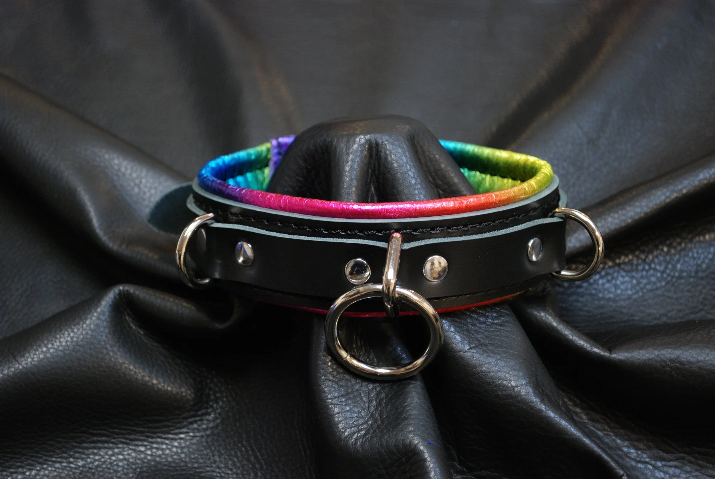 Padded Heavy Duty Play Collar
