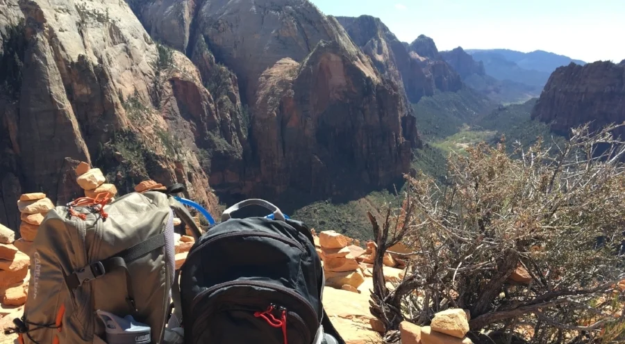 Angel's Landing in Zion National Park, March 2016. It took some planning and goal setting to make it out to Zion and up that trail, but we did it! ©2016 by Erin Blumer.
