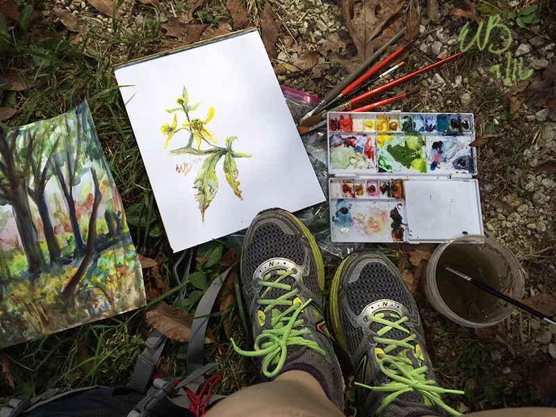 The forest landscape, flowers, my paints, and my feet. I had a comfy spot in the shade to paint. ©2016 by Erin Blumer.