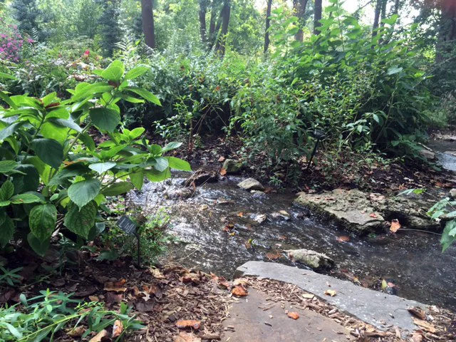My chosen painting spot by the stream. ©2016 by Erin Blumer.