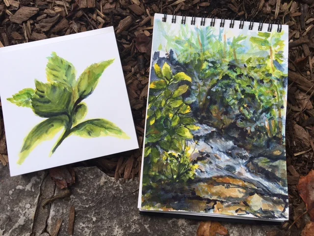 Hydrangea leaves on the left on the Portofino hot press. The stream is on the right, painted on Arches cold press paper. ©2016 by Erin Blumer.