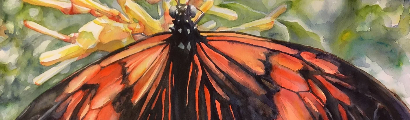 tattered-butterfly-watercolor-2017.jpg