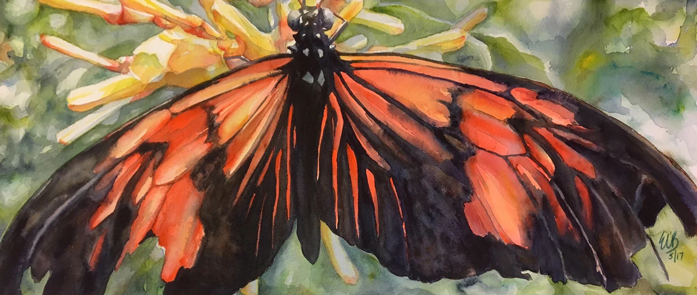 "Tattered Butterfly" Watercolor