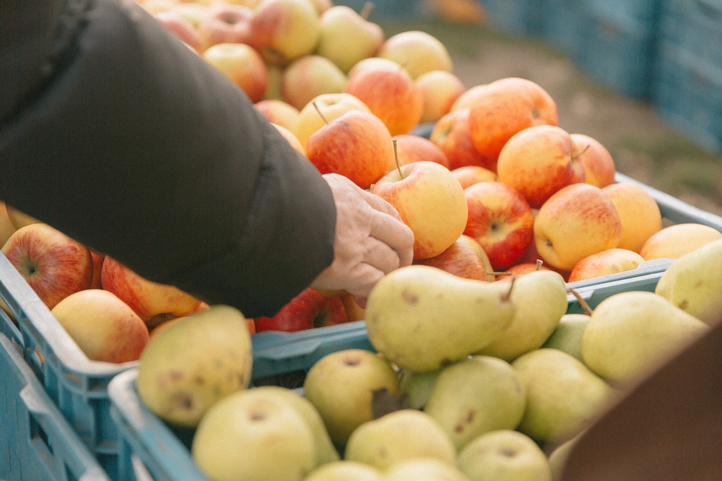 Farmers Market-10.jpg